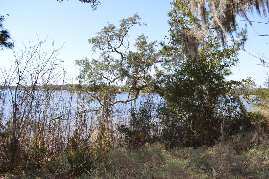 WOODLAND SHORES - Land