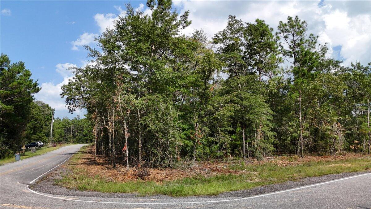 OAKWOOD HILLS - Land