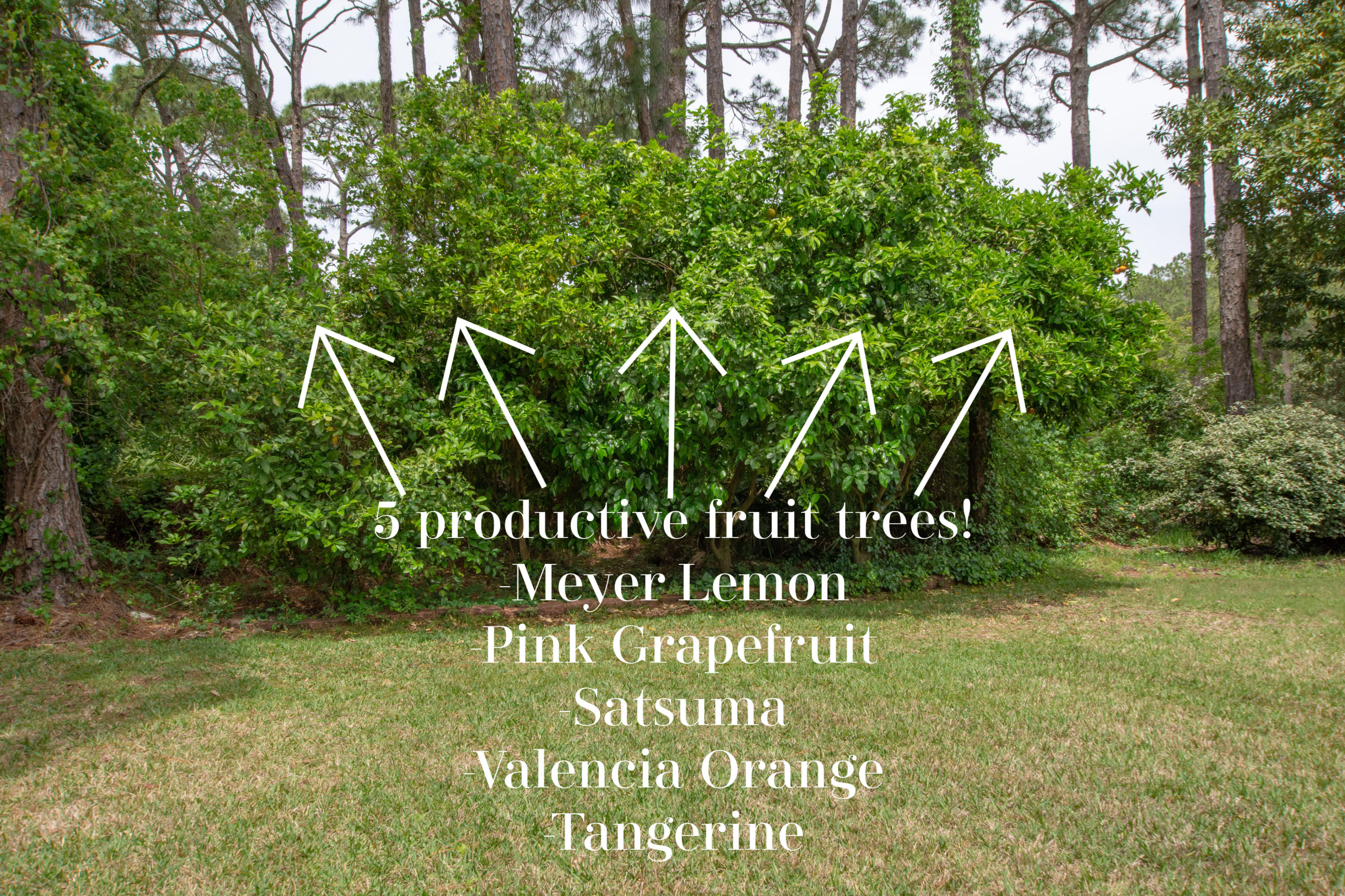 INDIAN BAYOU UNIT 4 - Residential