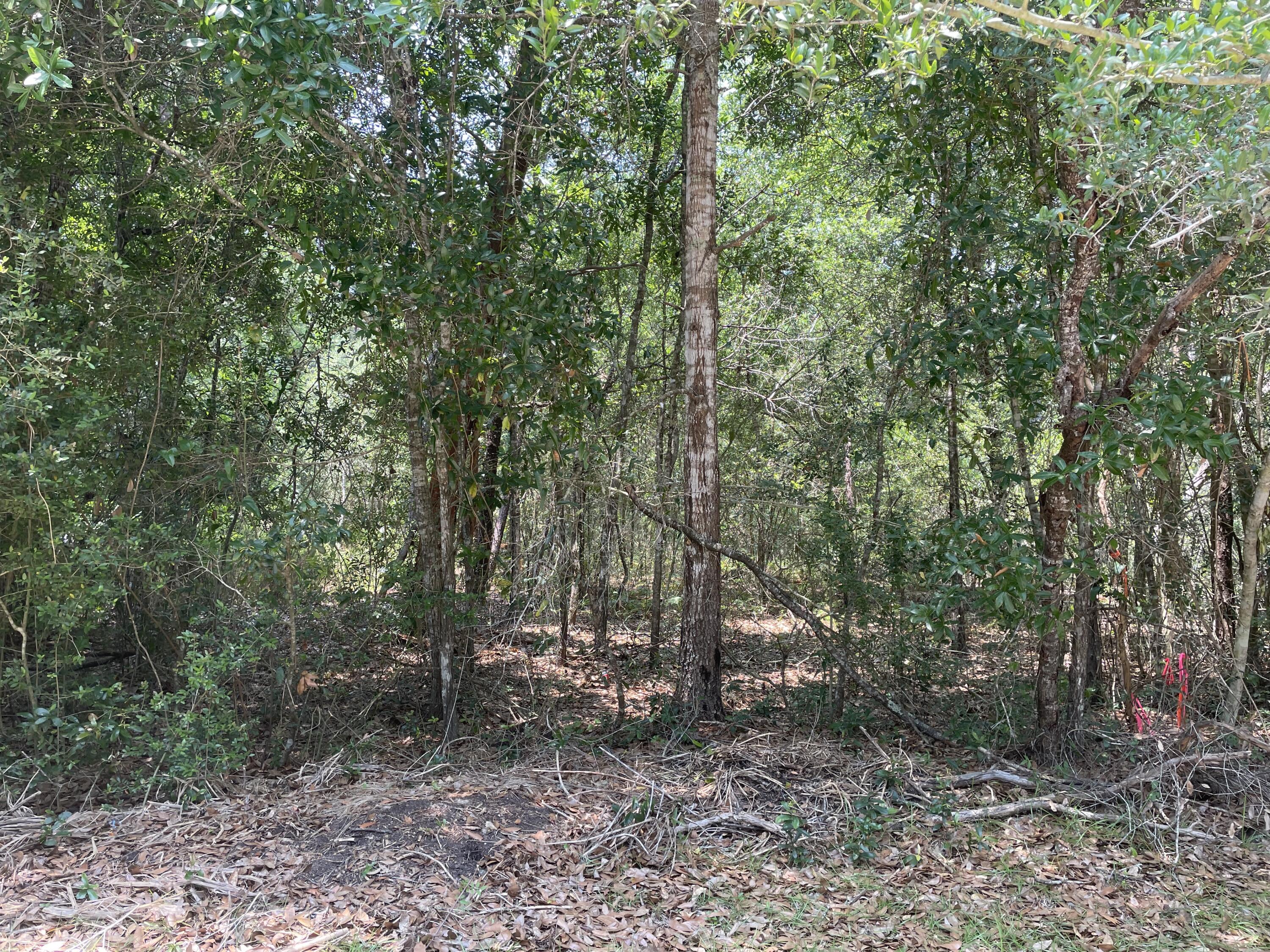 PEACHTREE HEIGHTS - Land