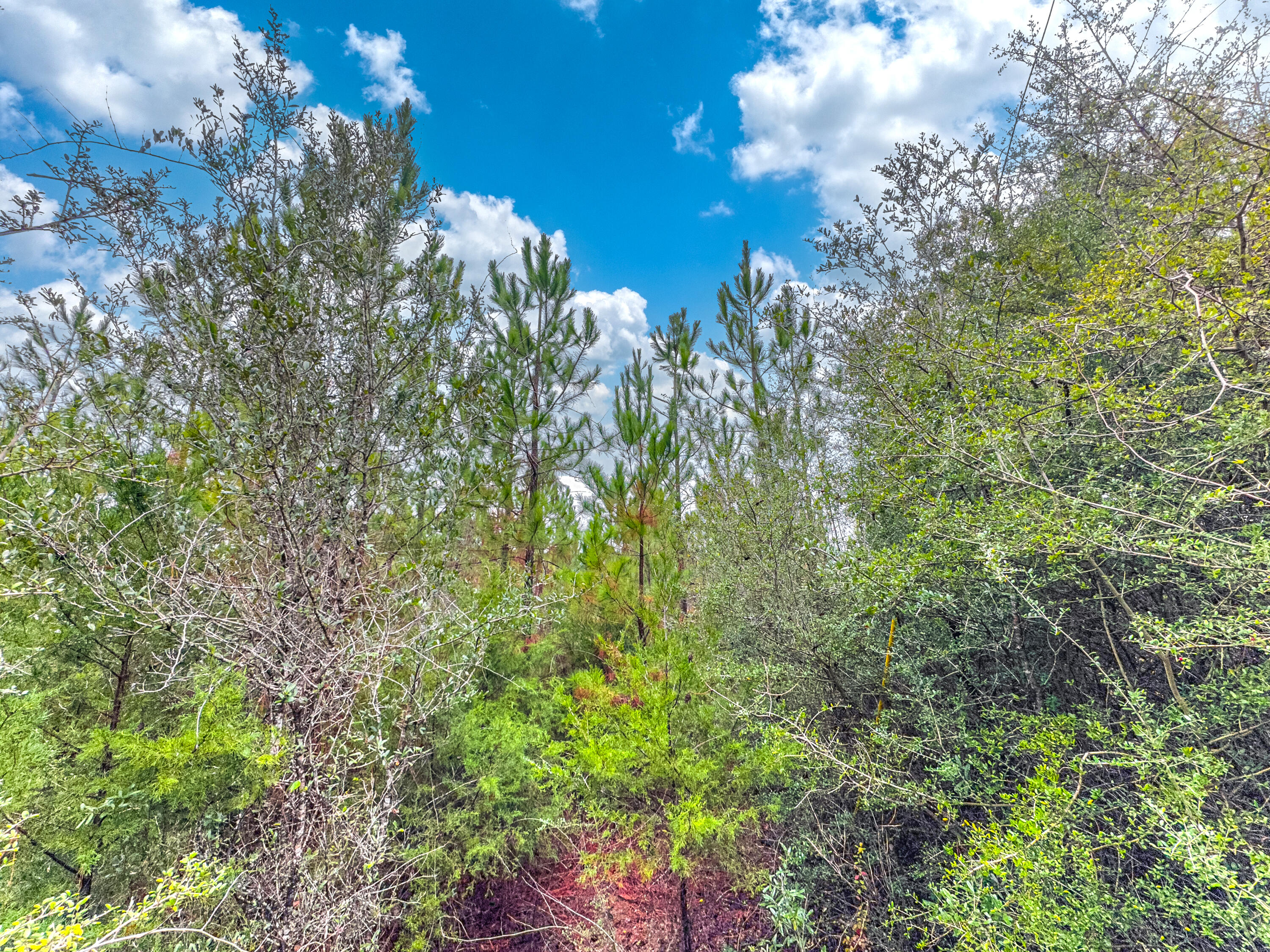 METES & BOUNDS - Farm