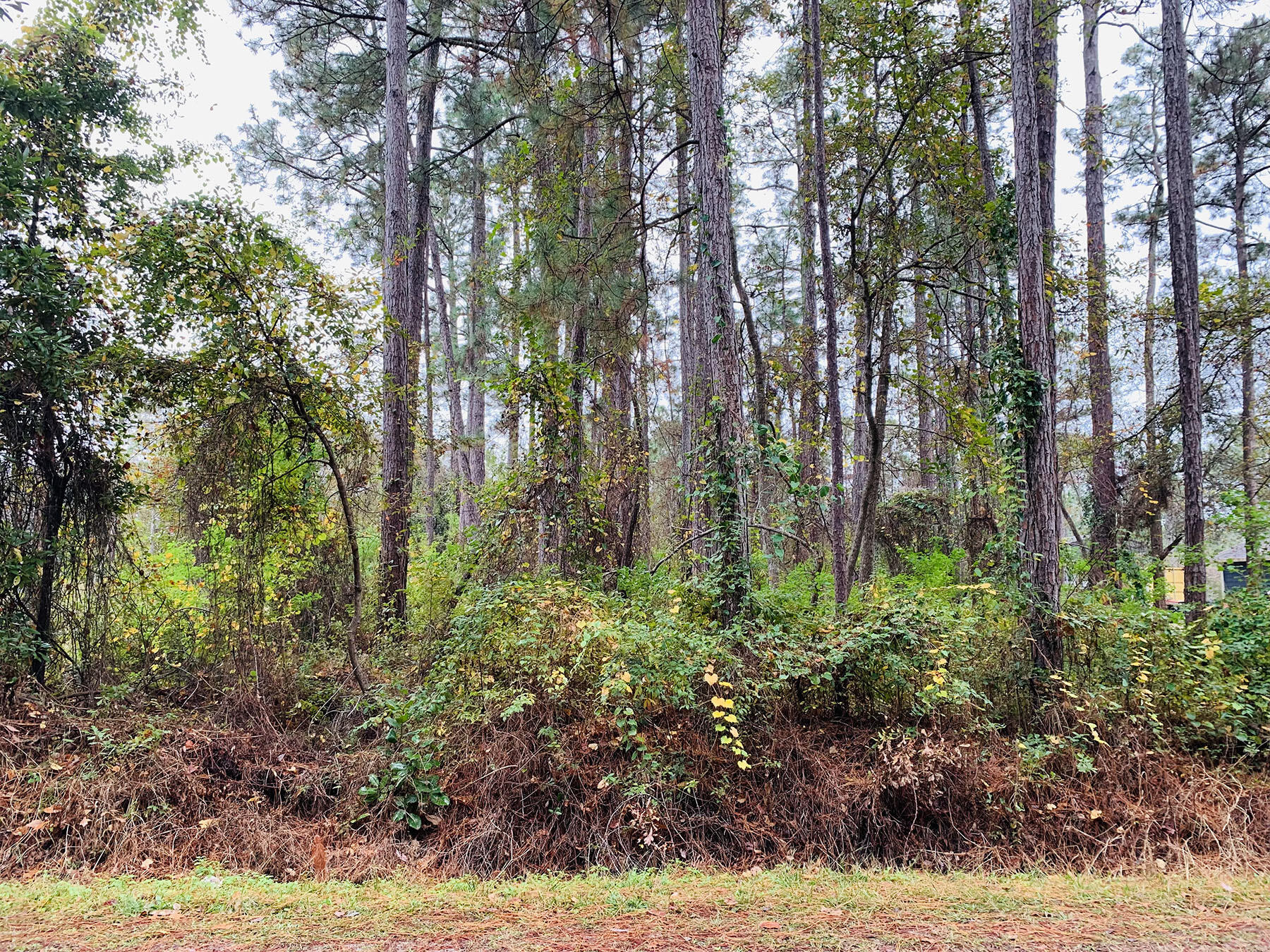 LOT 22 PEPPERTREE FARMS OF GOV LOT 10 SANTA ROSA PLANTATION SEC 27-2S-20W - Land