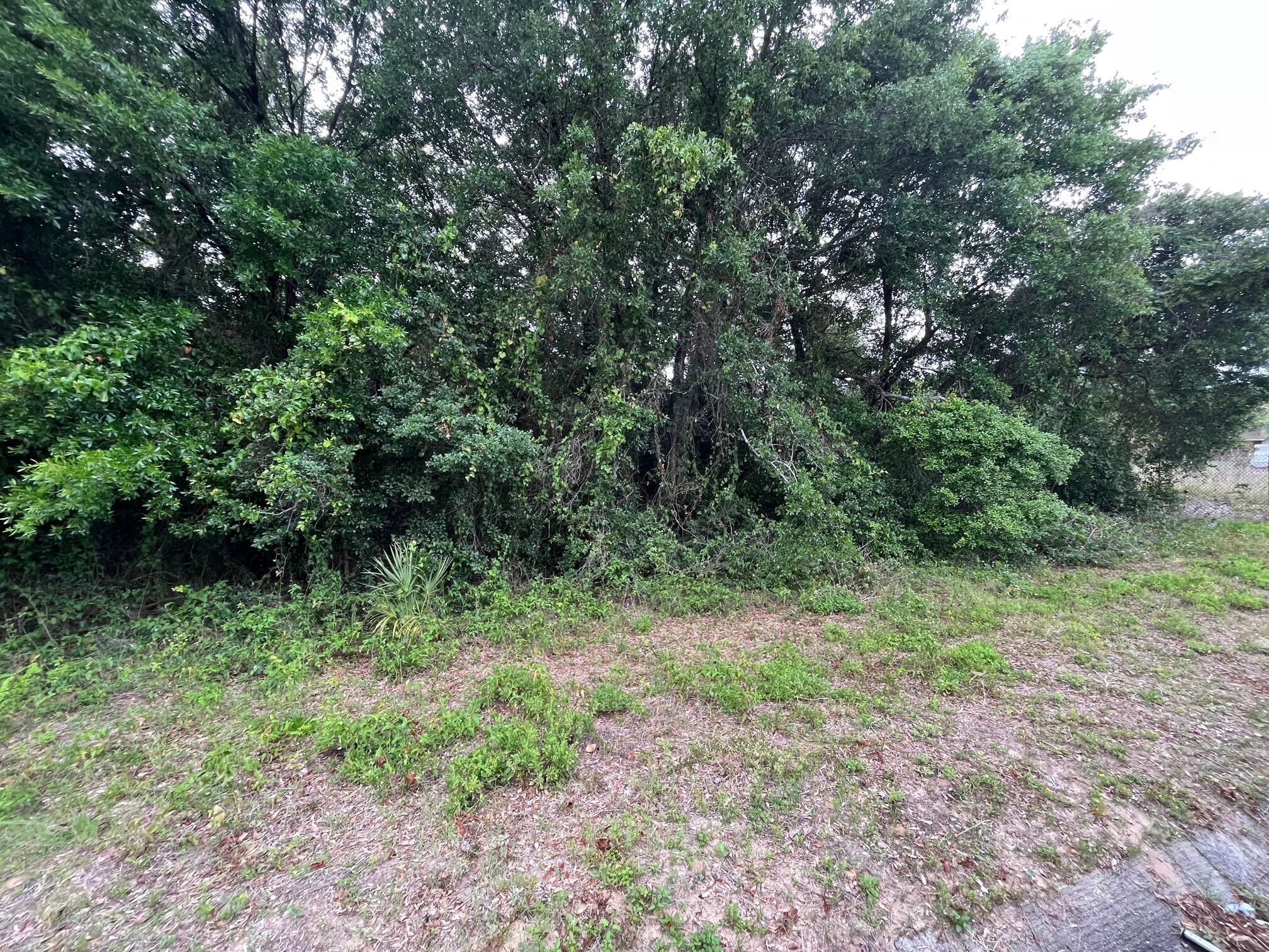 LoveJoy Road NW - Land