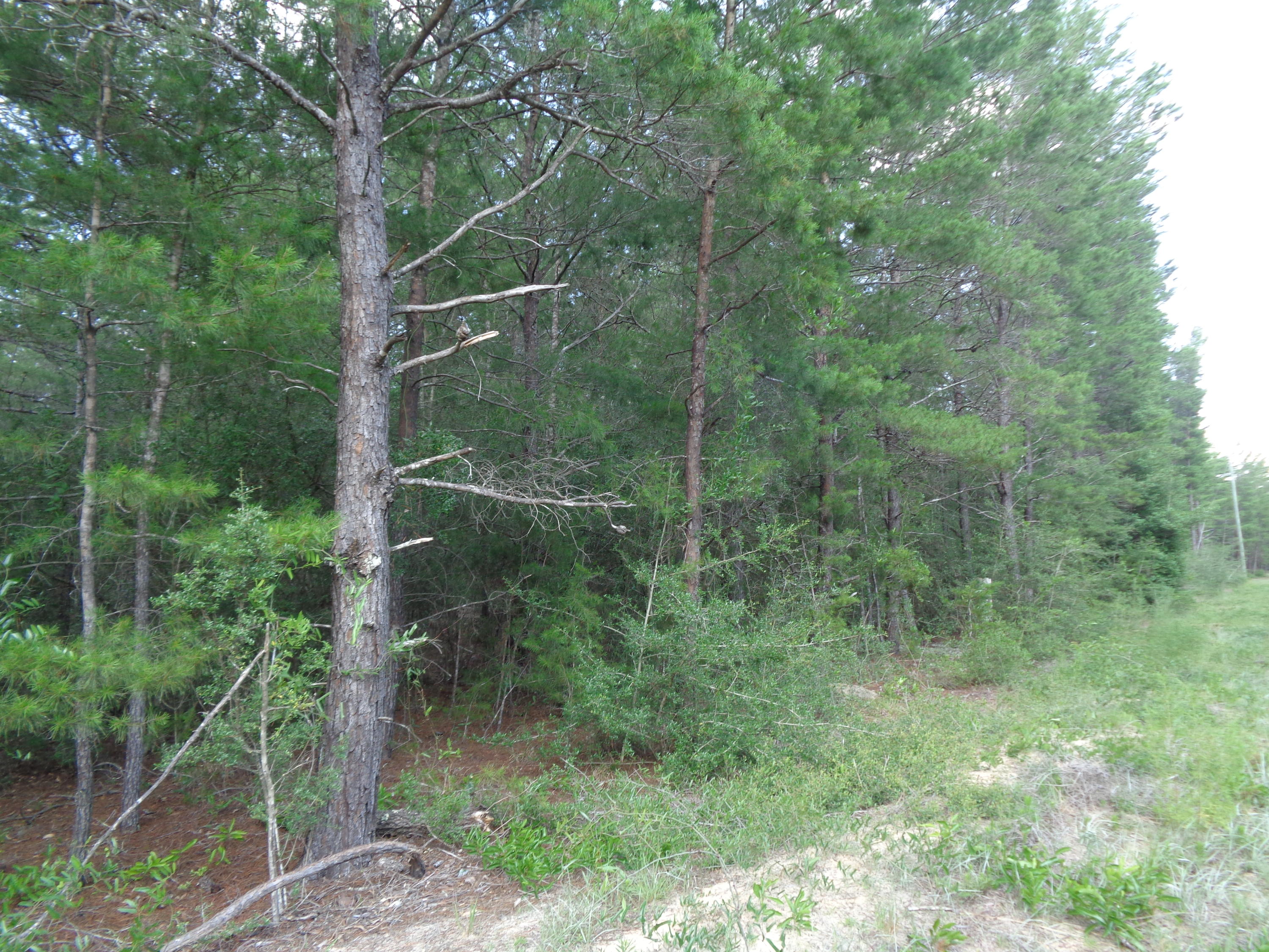 OAKWOOD HILLS UNIT IV - Land