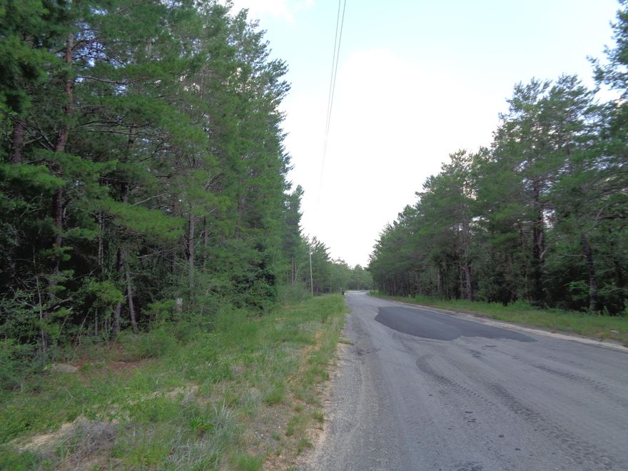 LOCATED IN THE MOSSY HEAD COMMUNITY THIS LARGE LOT HAS TONS OF OPTIONS FOR ANY BUYER. PERFECT LOCATION TO EGLIN AFB, CRESTVIEW AND DEFUNIAK OR JUMP ON I10! LOT IS A LARGE 1.46 ACRE PIECE, WOODED AND READY FOR YOU TO BUILD OR MOBILE HOMES ARE ALLOWED. PRIVATE BUT STILL JUST MINUTES TO DOLLAR GENERAL AND STORES. PROPERTY HAS ROAD FRONTAGE ON 2 SIDE! GREAT PRICE FOR GROWING MOSSY HEAD AREA!