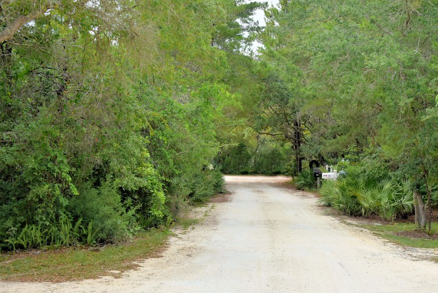 Beautiful wooded lot tucked in on one of our quaint Seagrove shell roads close to Eastern Lake. This is old Seagrove and a perfect place to build your Florida cottage home! New construction is going up across the street. You are located close to all that makes Seagrove a special place.