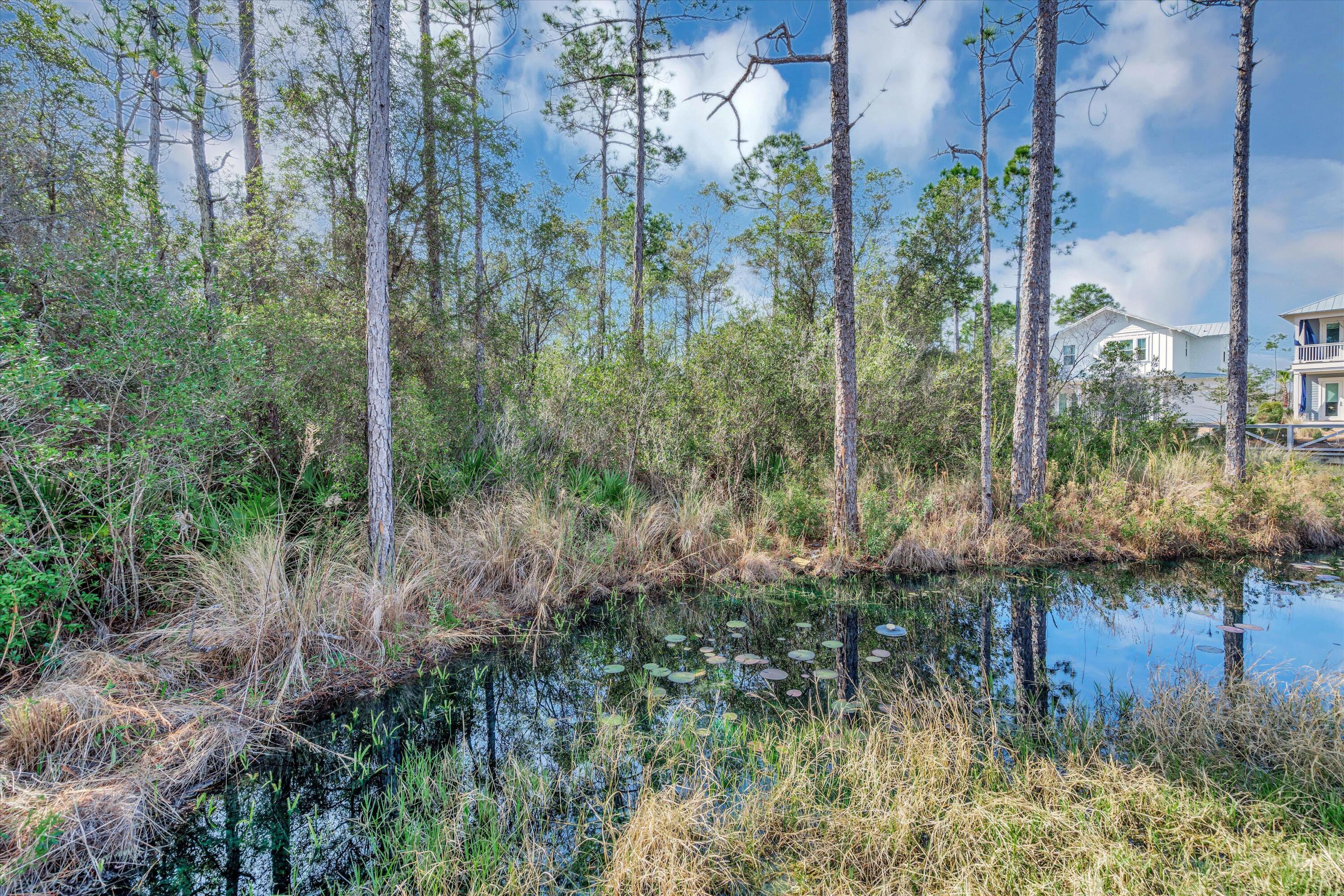 Naturewalk at Seagrove - Residential