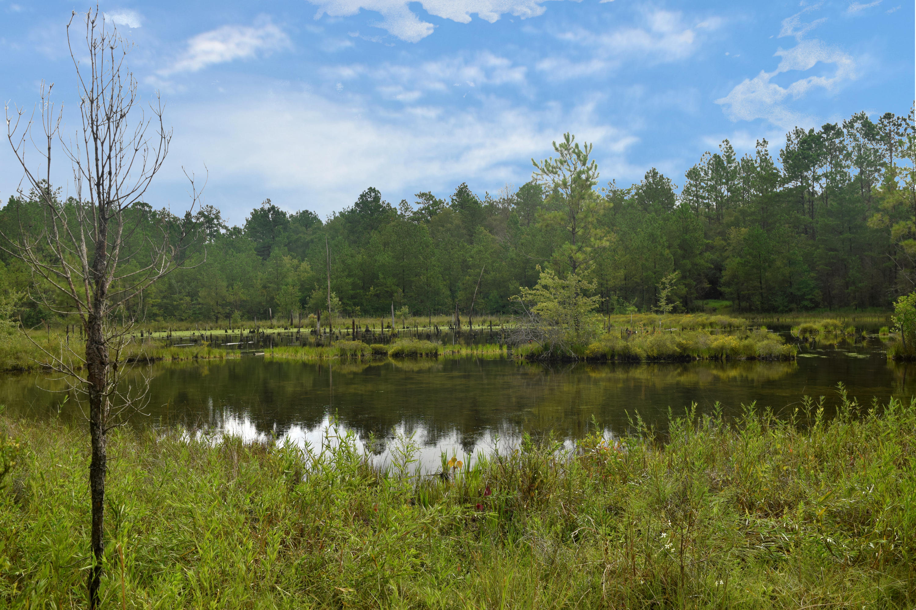 HOLBROOK HILLS - Land