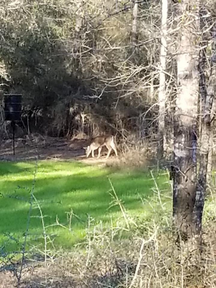 HOLBROOK HILLS - Land