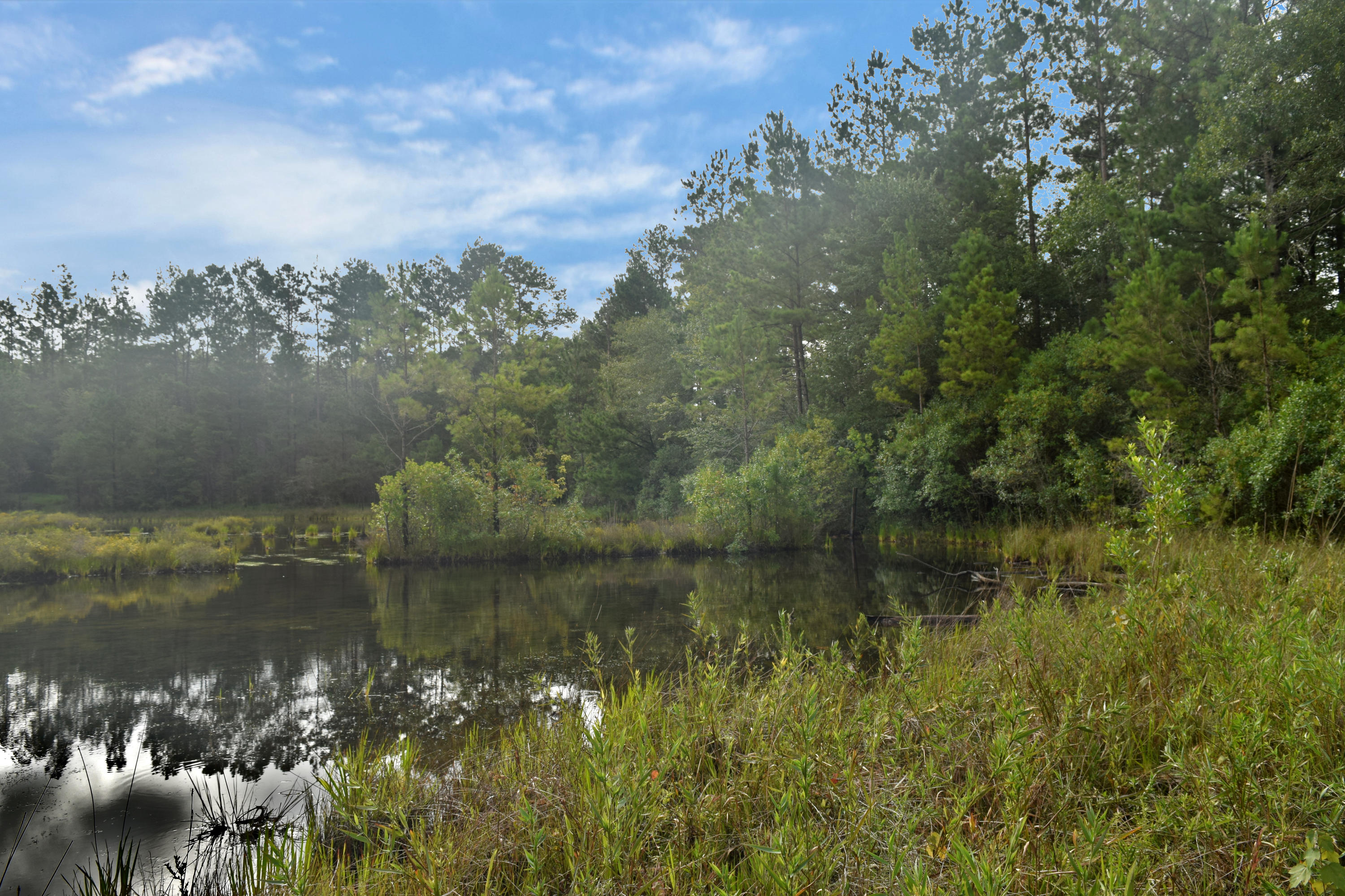 HOLBROOK HILLS - Land