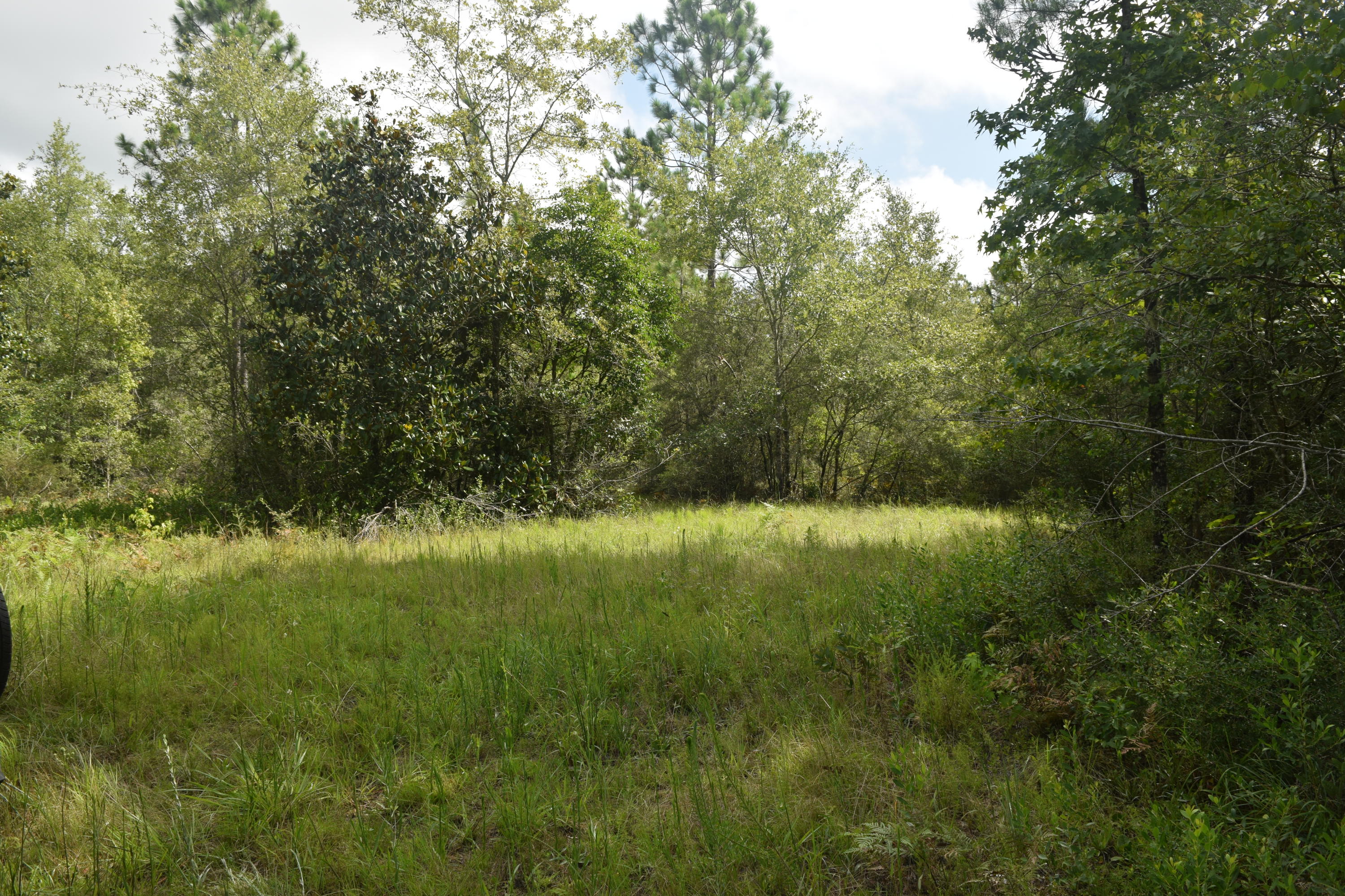 HOLBROOK HILLS - Land