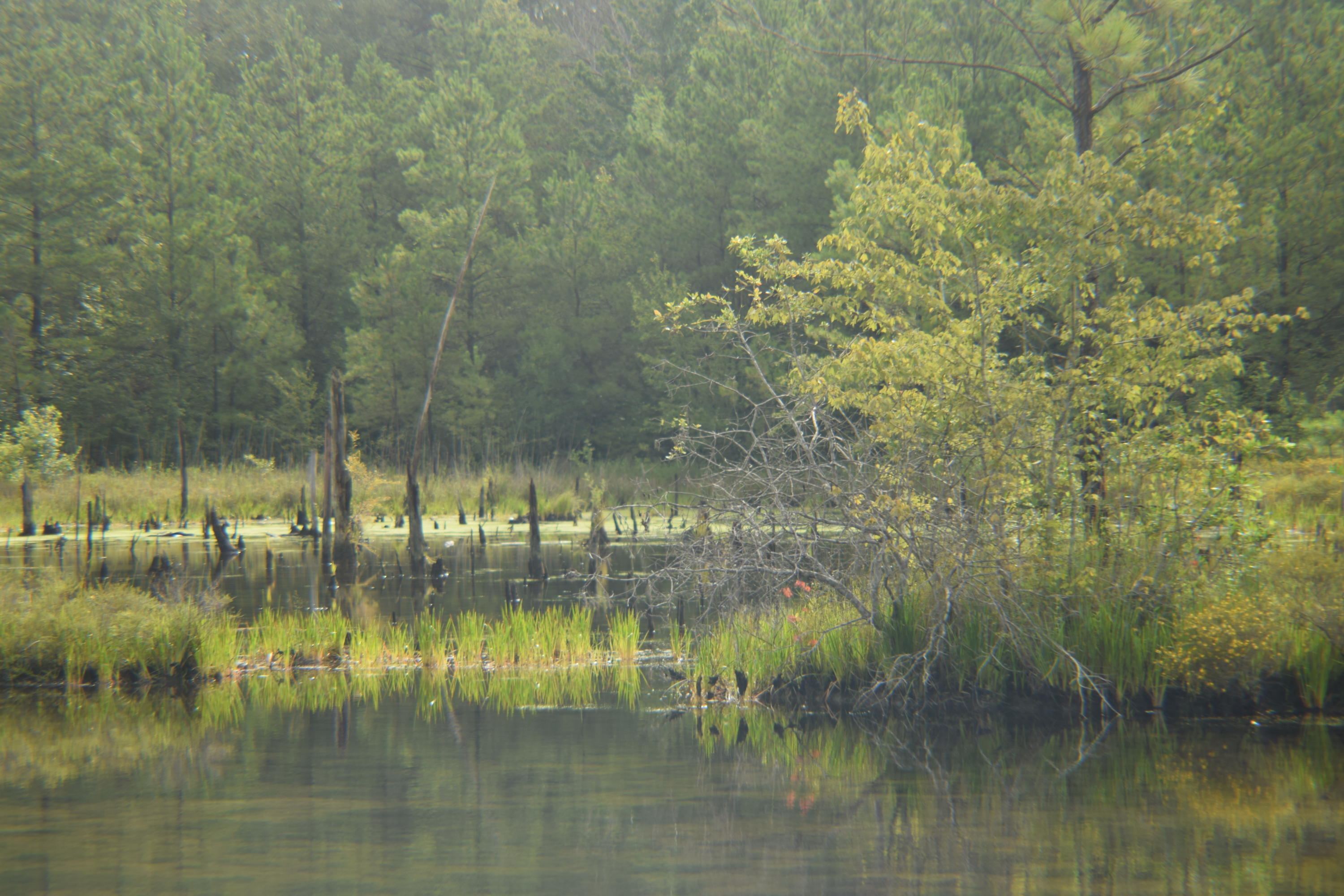 HOLBROOK HILLS - Land