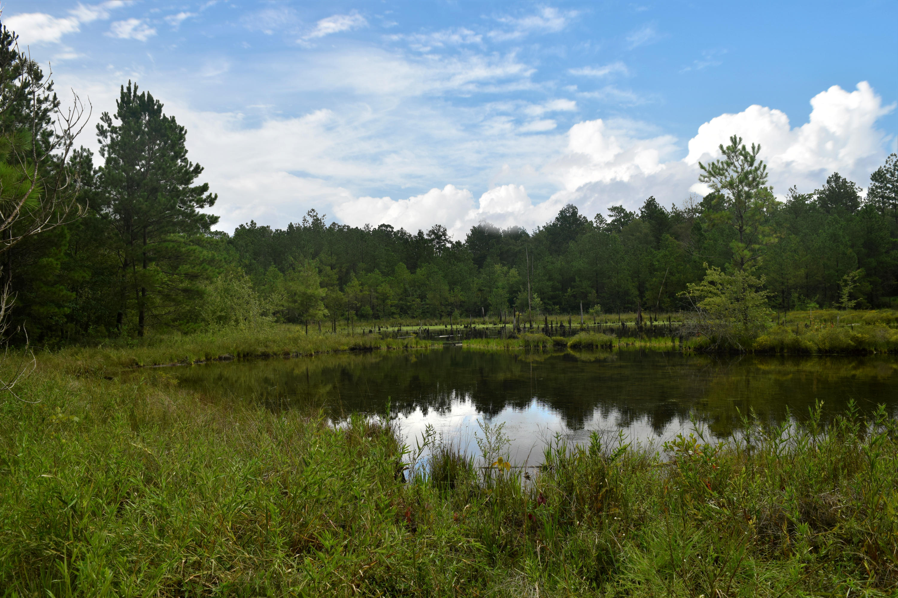 HOLBROOK HILLS - Land