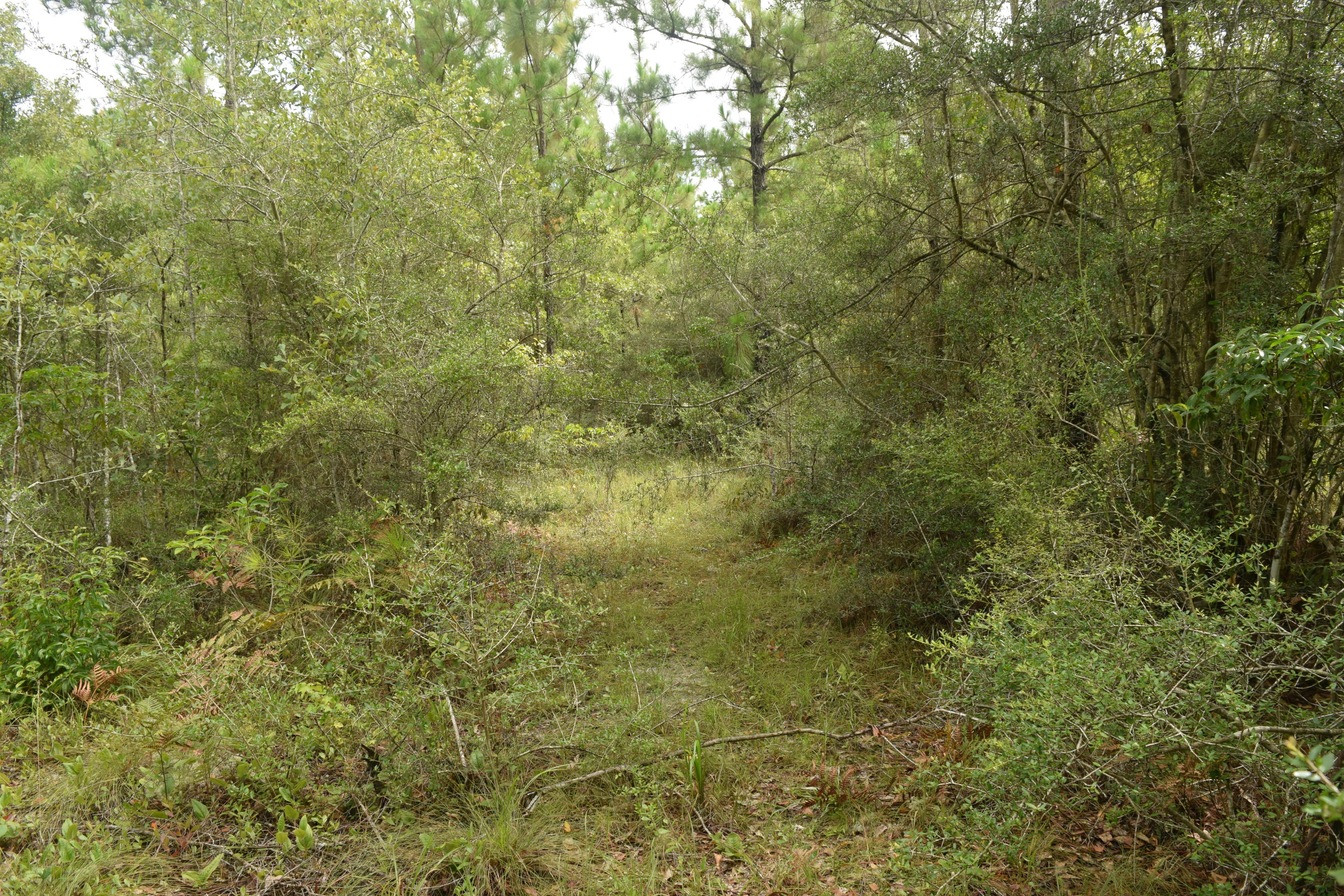 HOLBROOK HILLS - Land