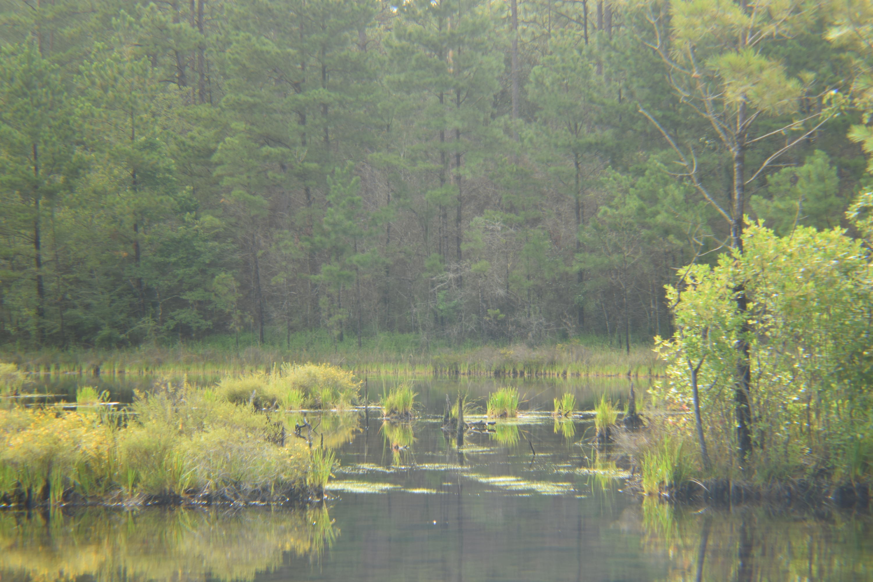 HOLBROOK HILLS - Land