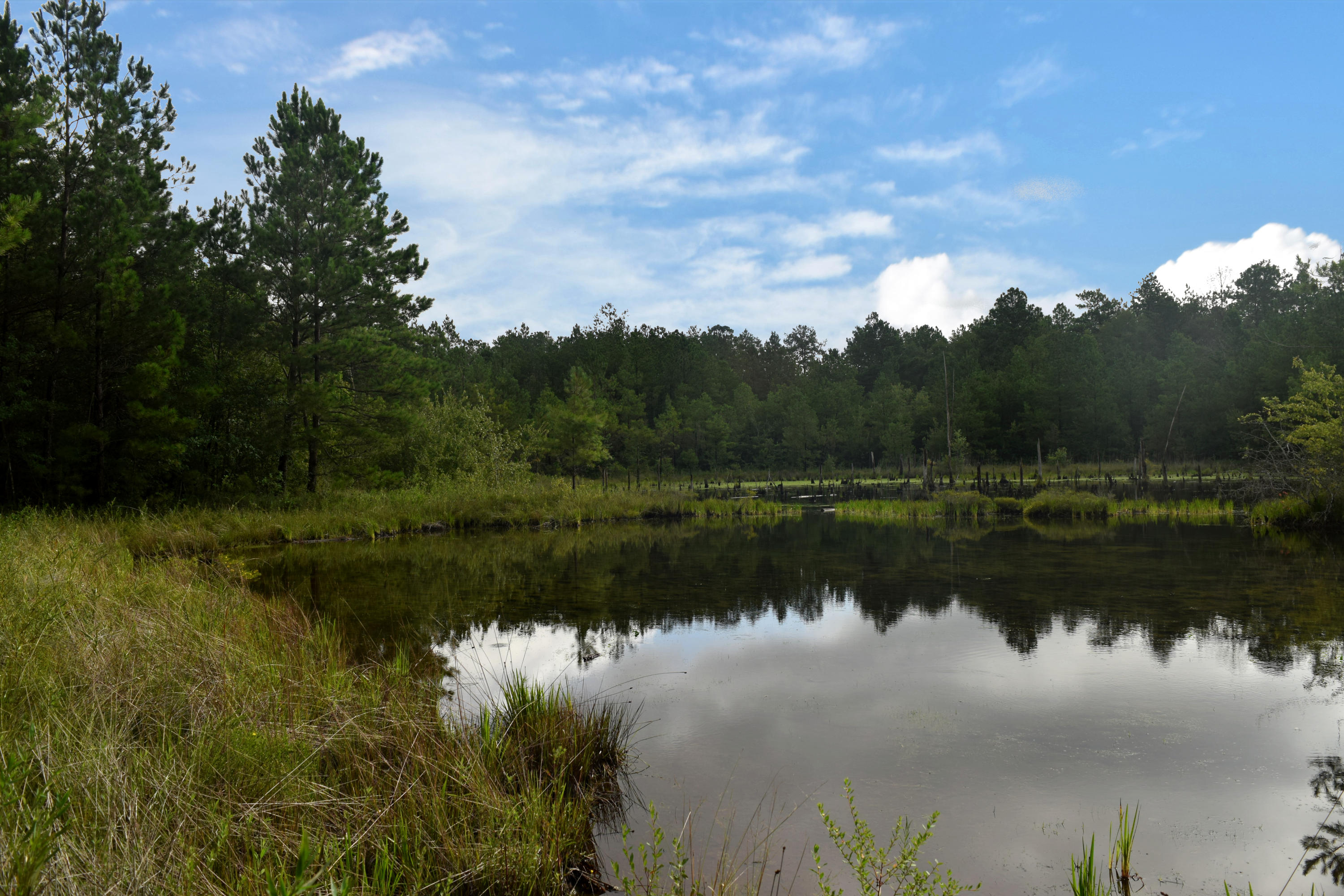 HOLBROOK HILLS - Land