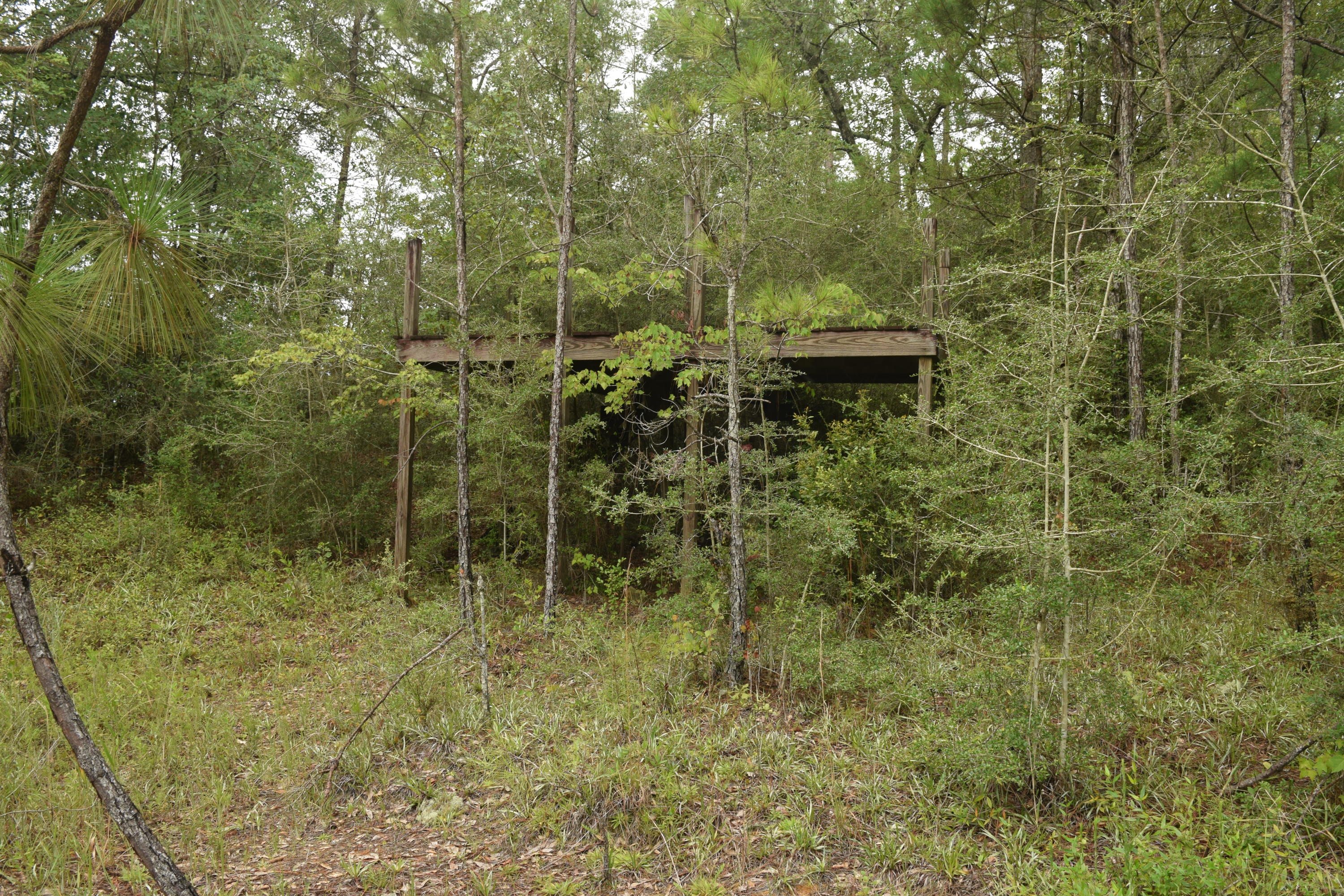 HOLBROOK HILLS - Land