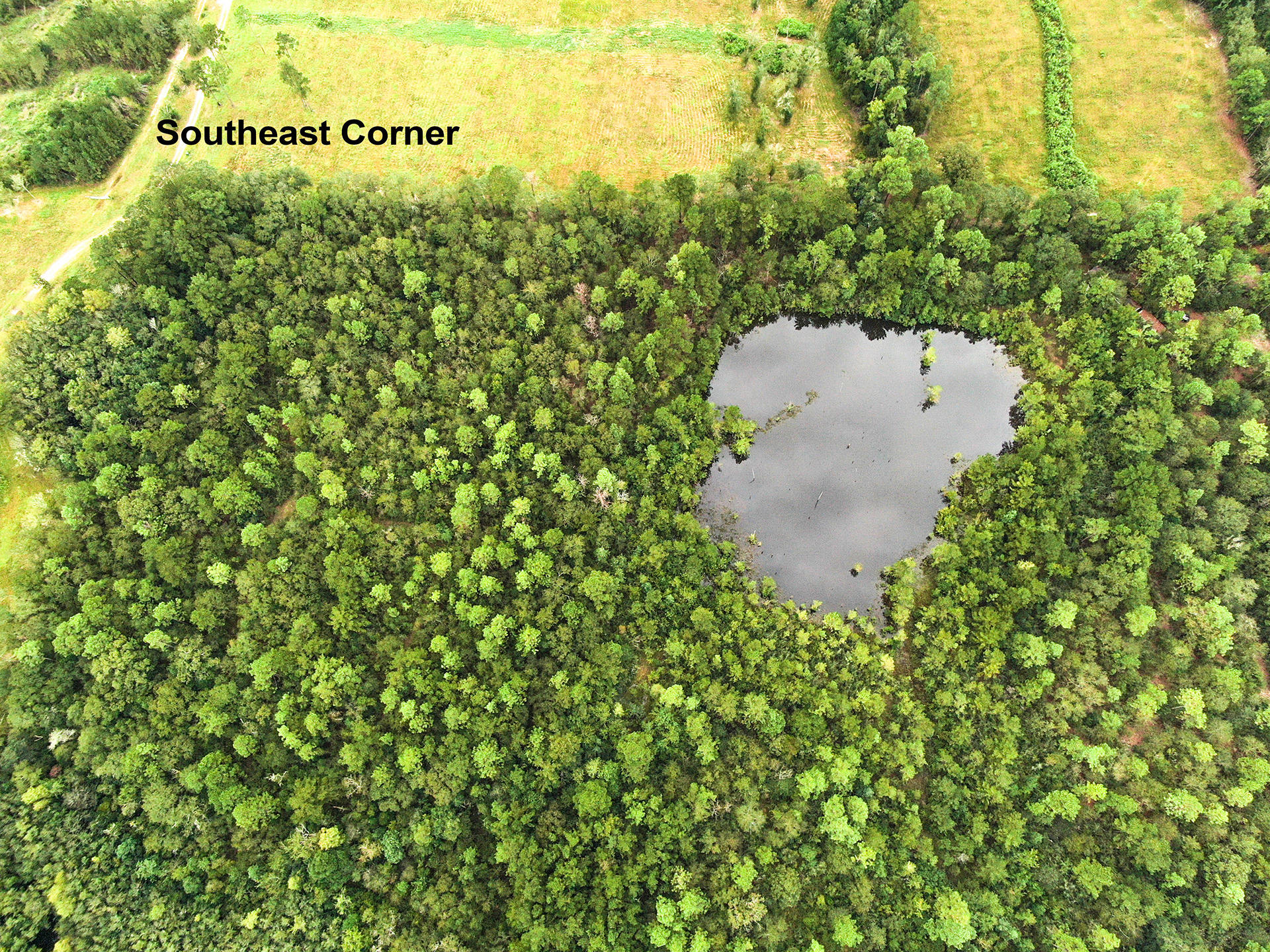 HOLBROOK HILLS - Land