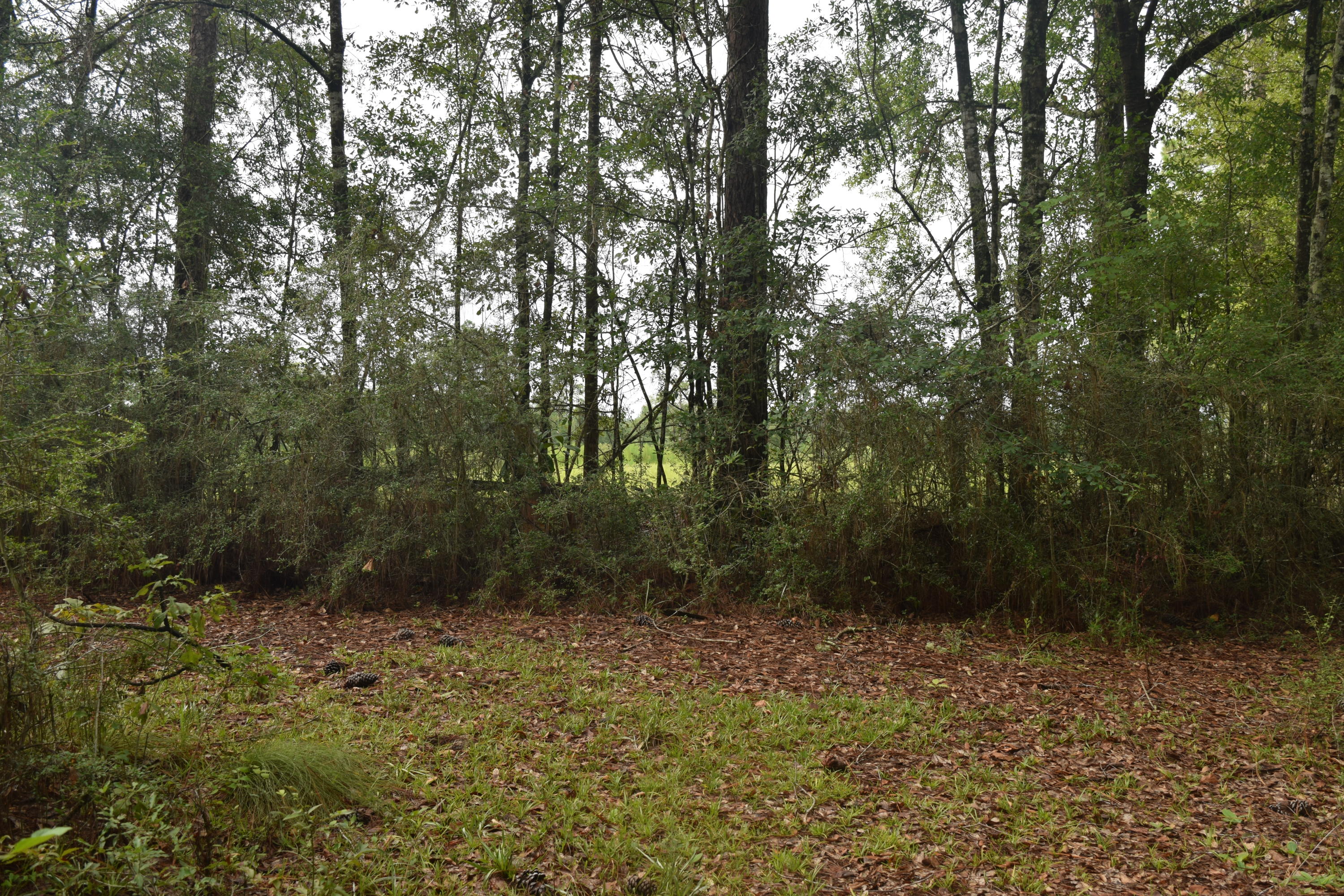 HOLBROOK HILLS - Land