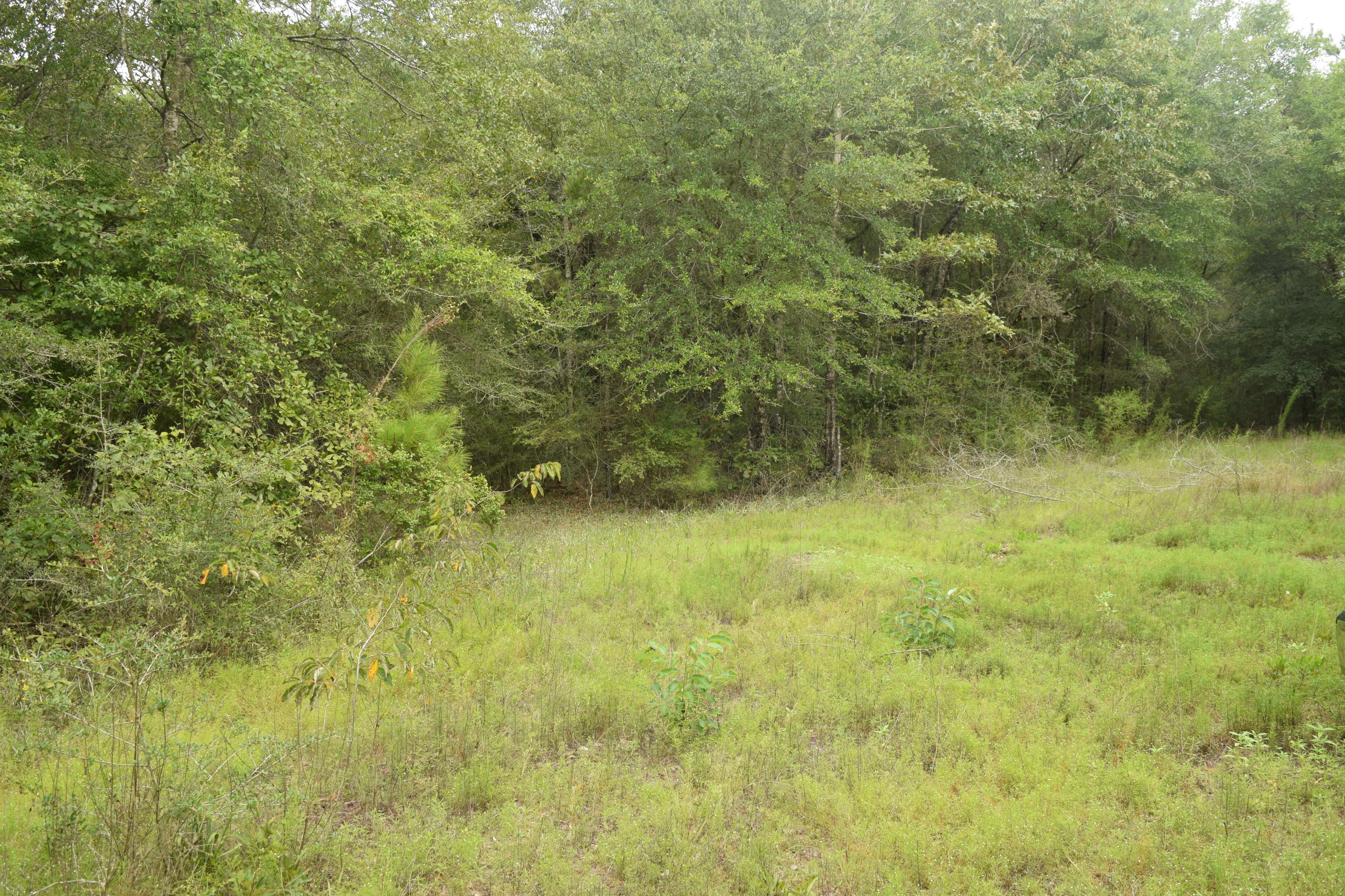 HOLBROOK HILLS - Land