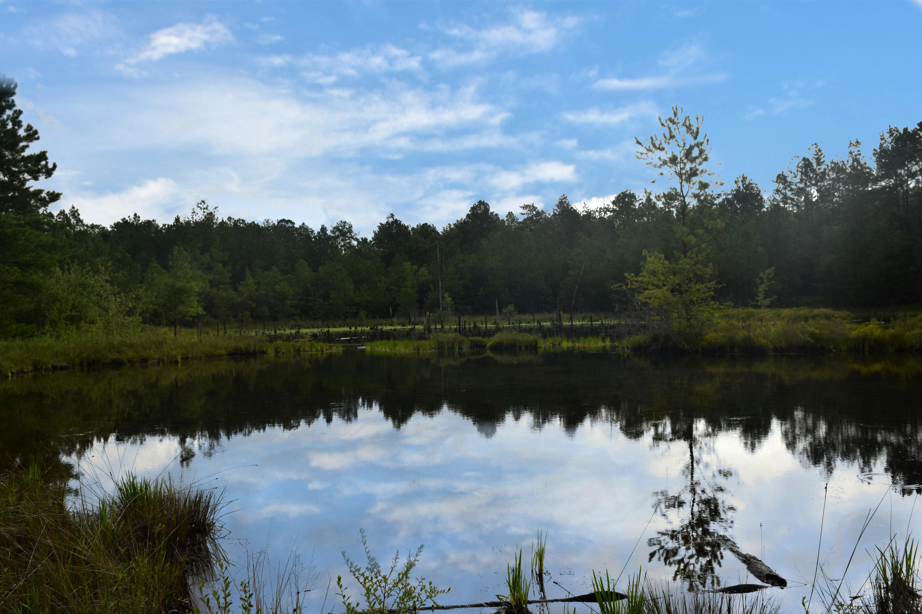 HOLBROOK HILLS - Land