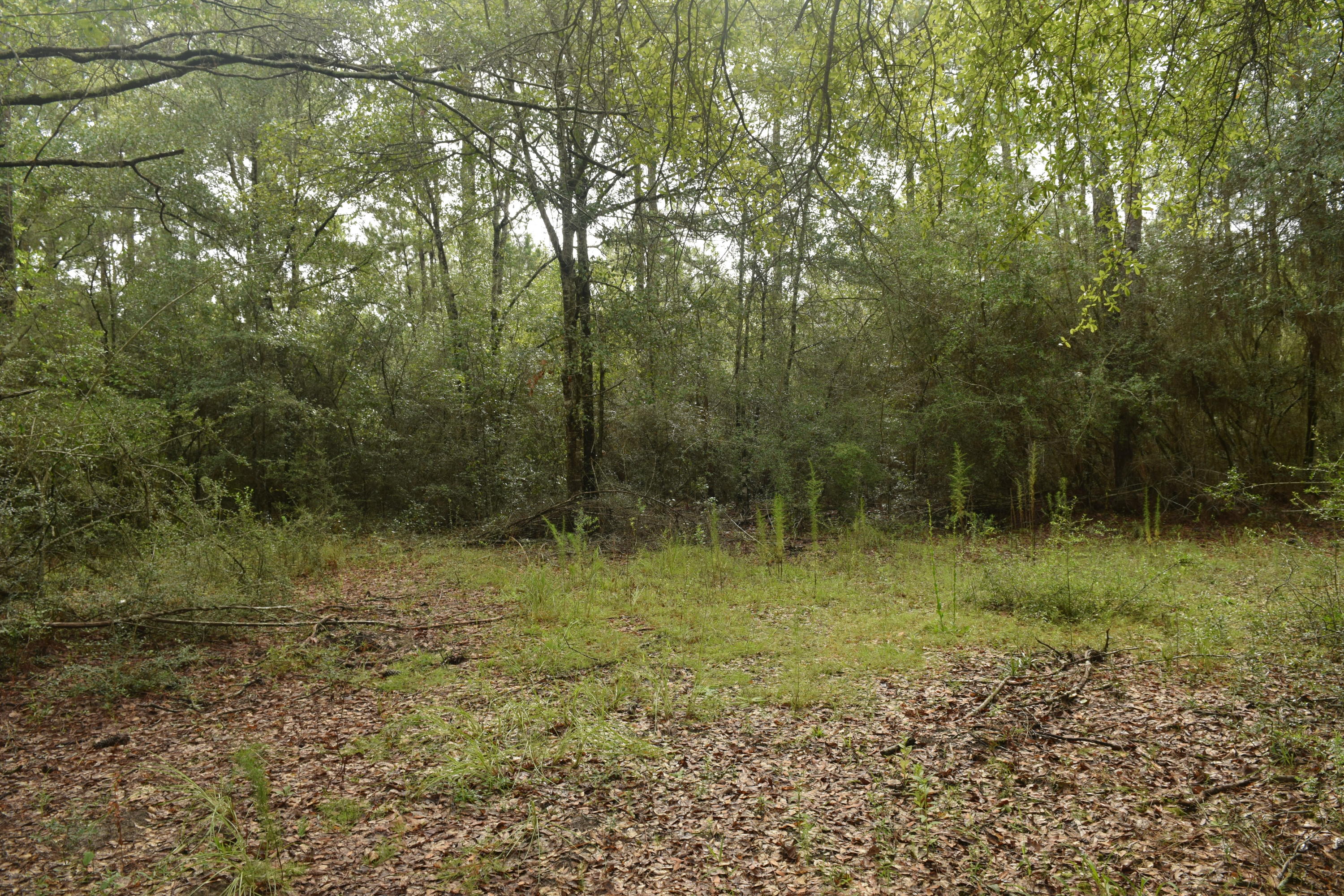 HOLBROOK HILLS - Land