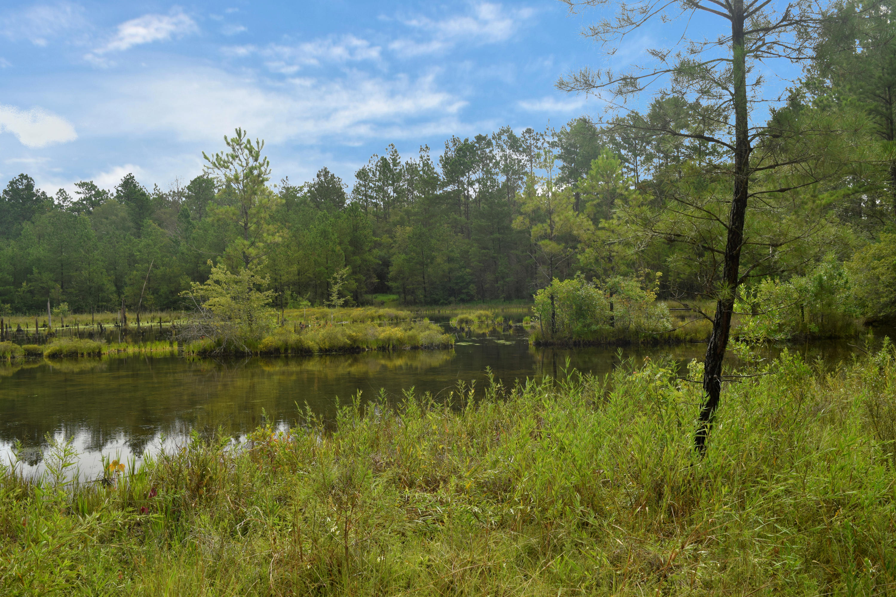 HOLBROOK HILLS - Land