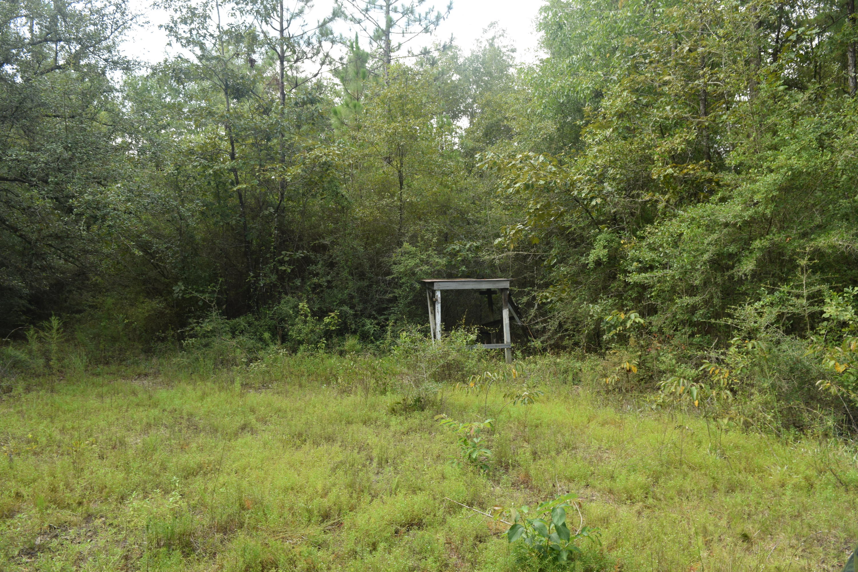 HOLBROOK HILLS - Land