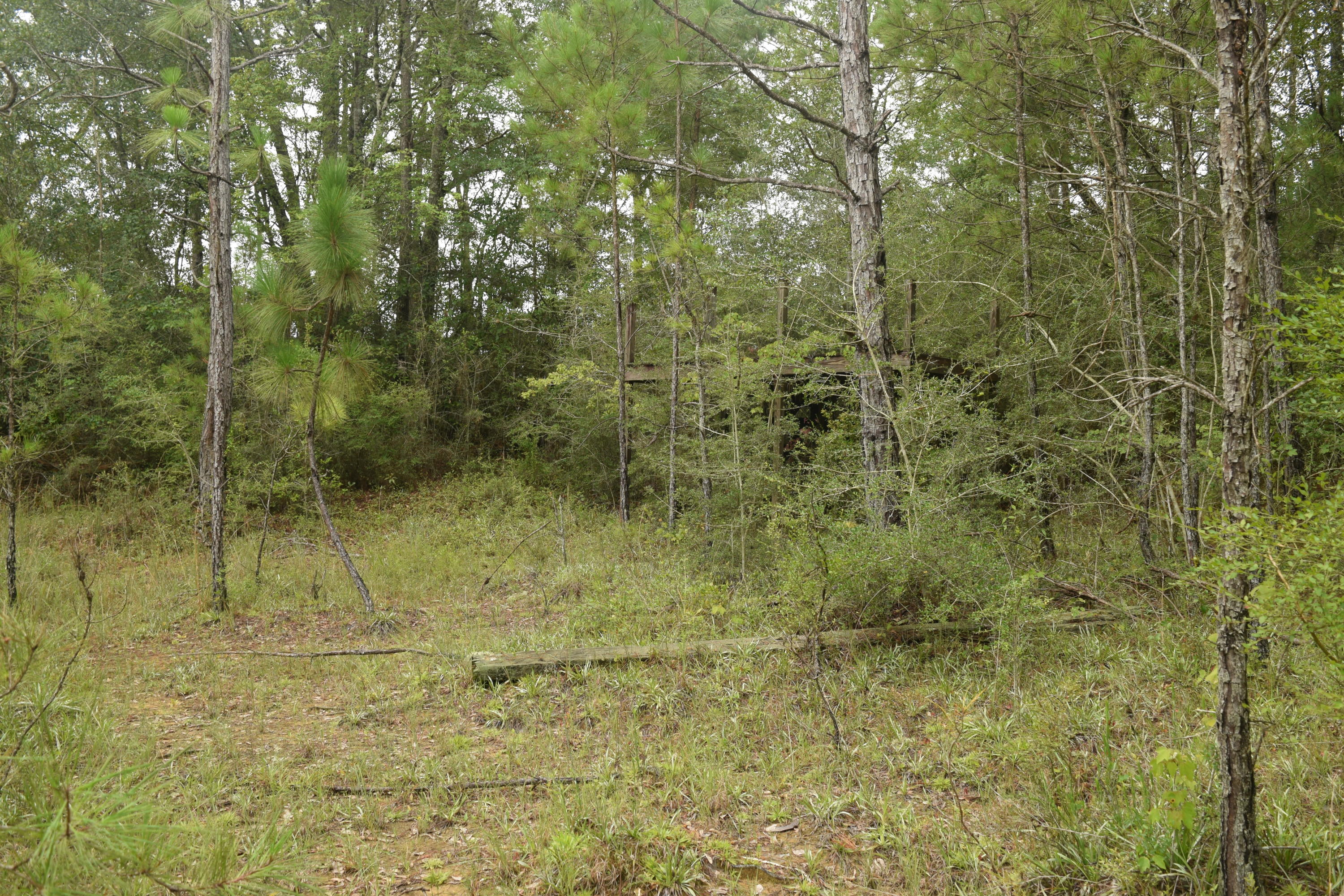 HOLBROOK HILLS - Land