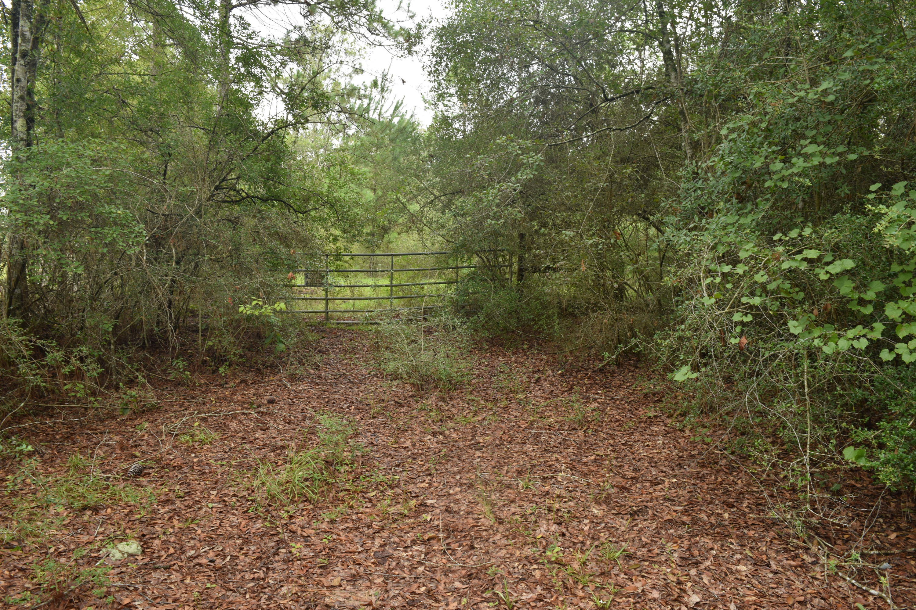 HOLBROOK HILLS - Land