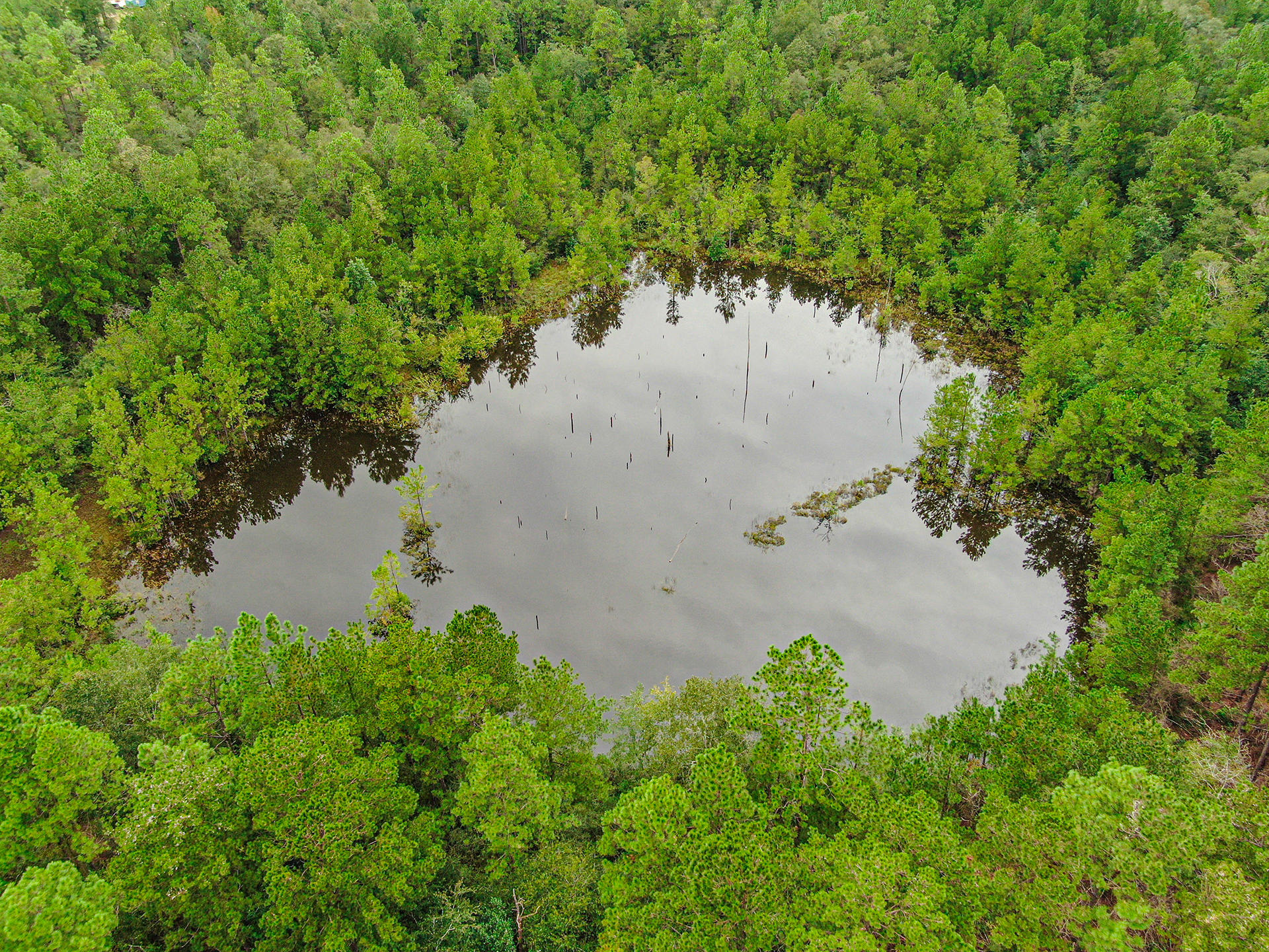 HOLBROOK HILLS - Land