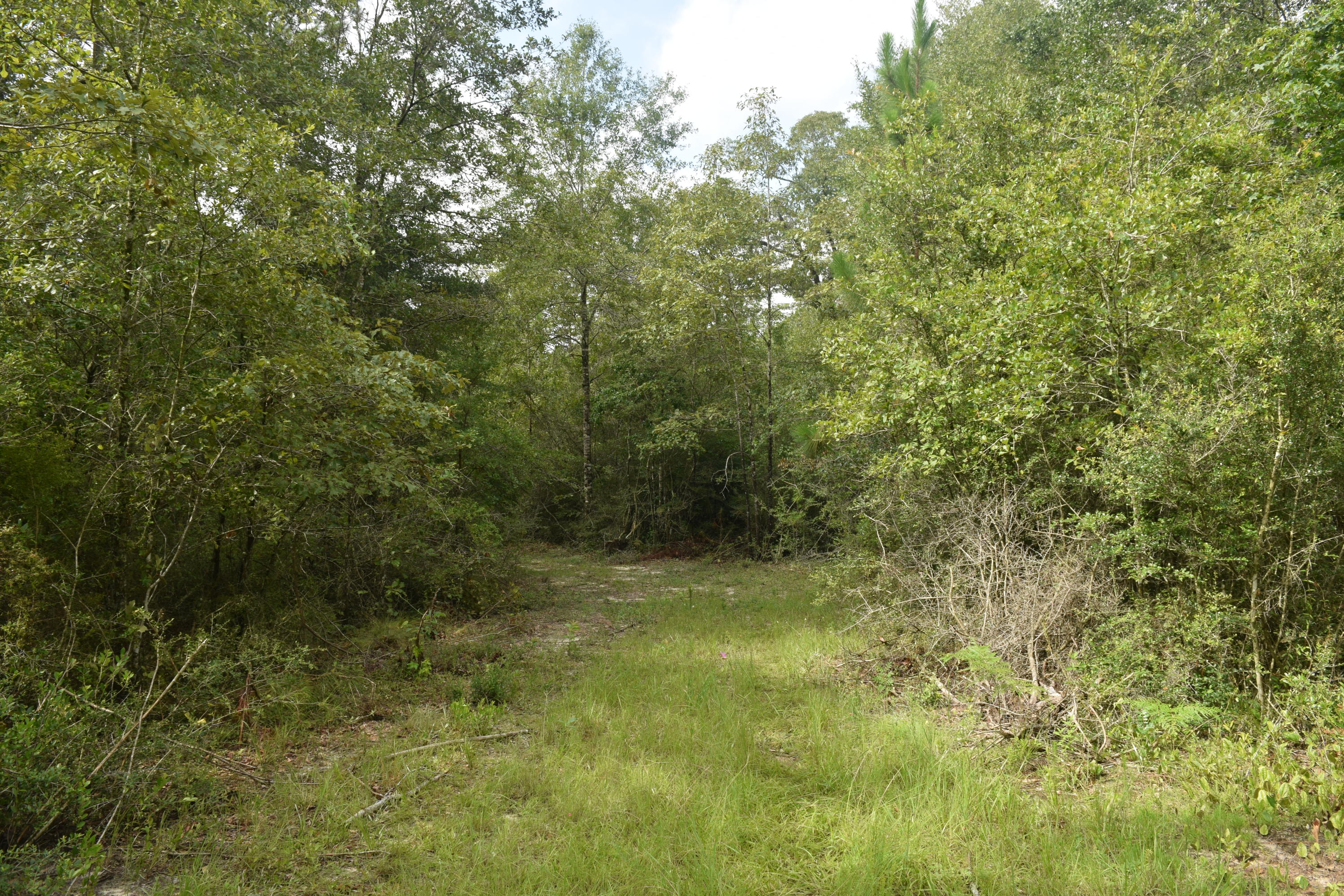 HOLBROOK HILLS - Land