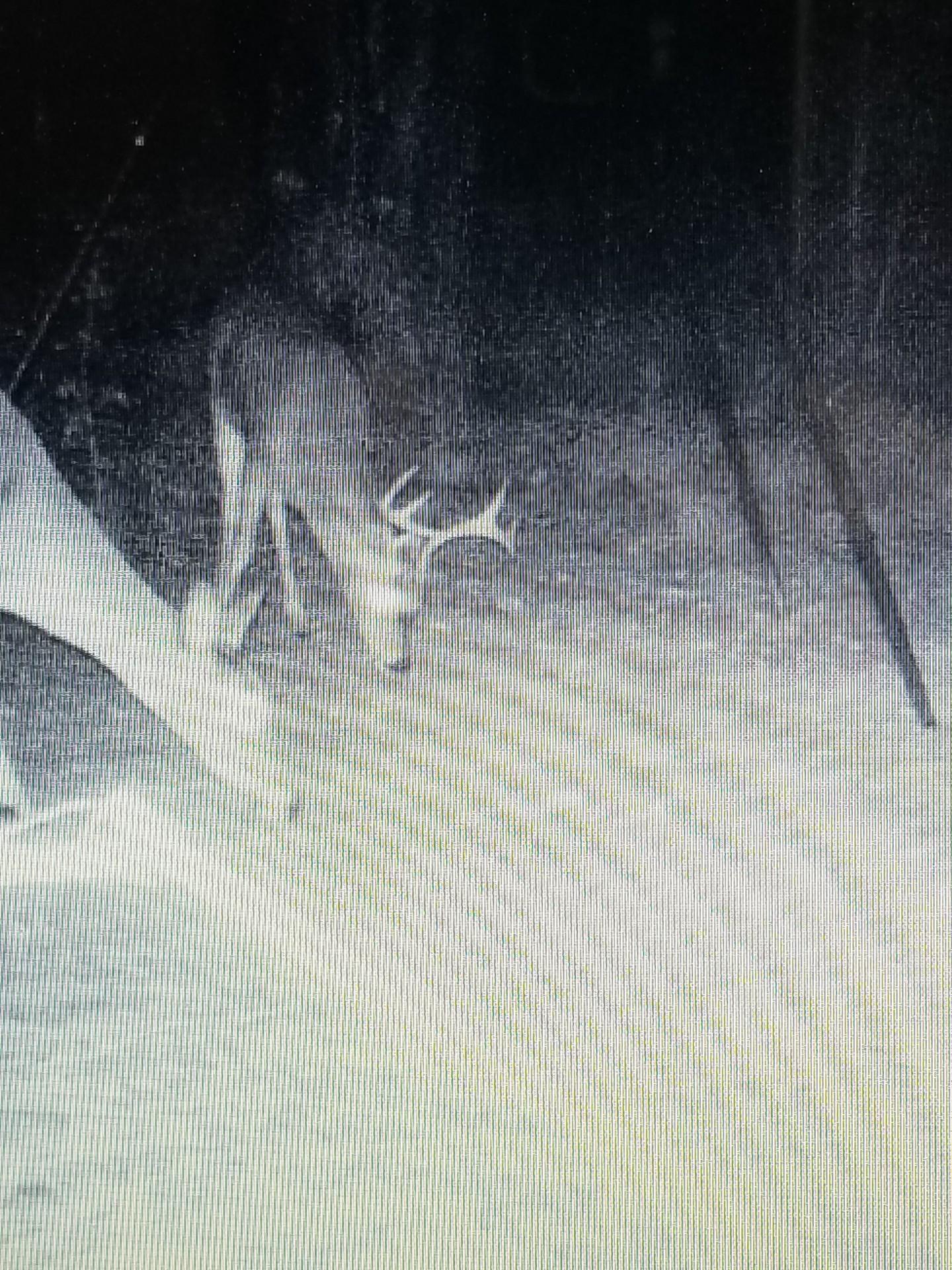 HOLBROOK HILLS - Land