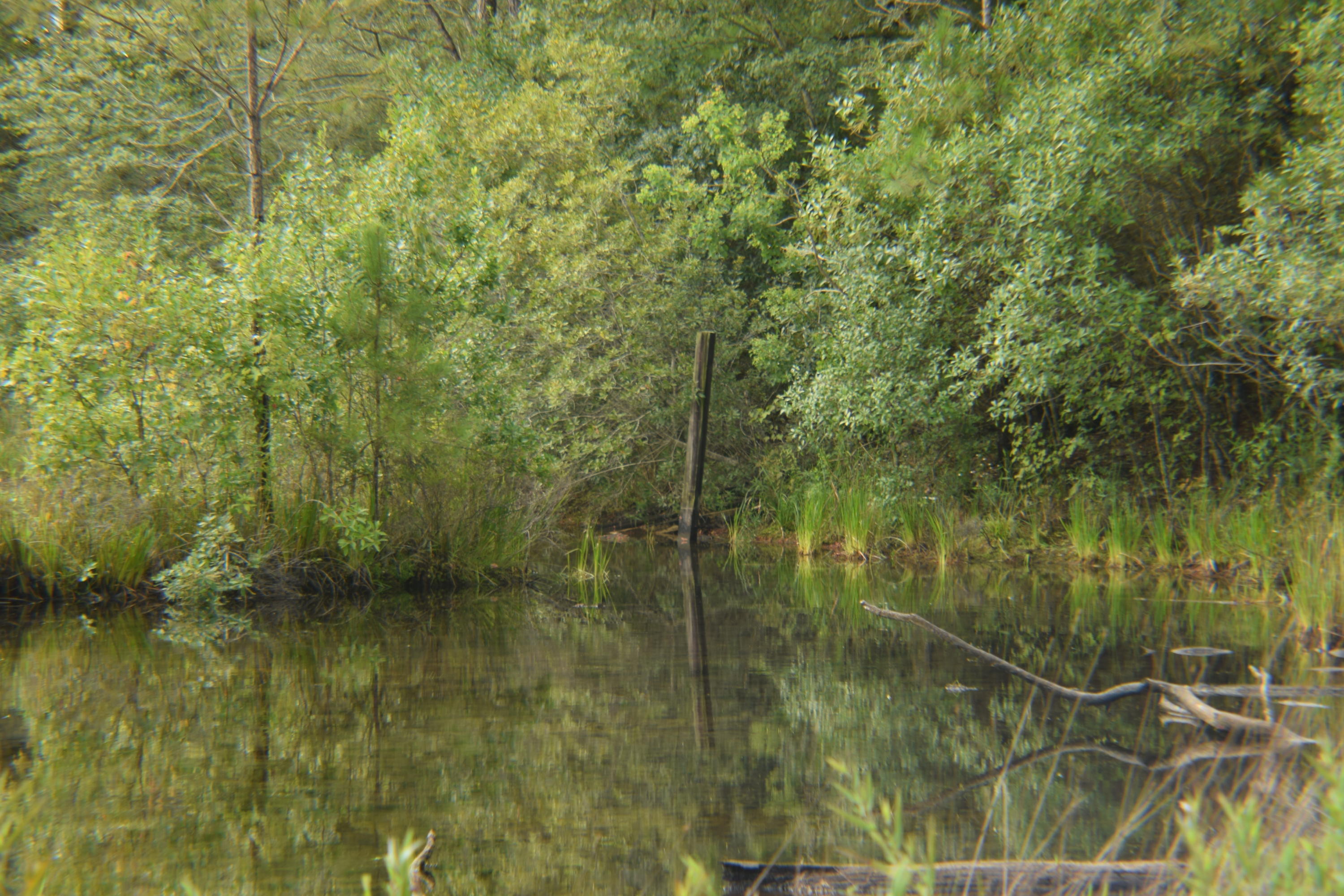 HOLBROOK HILLS - Land