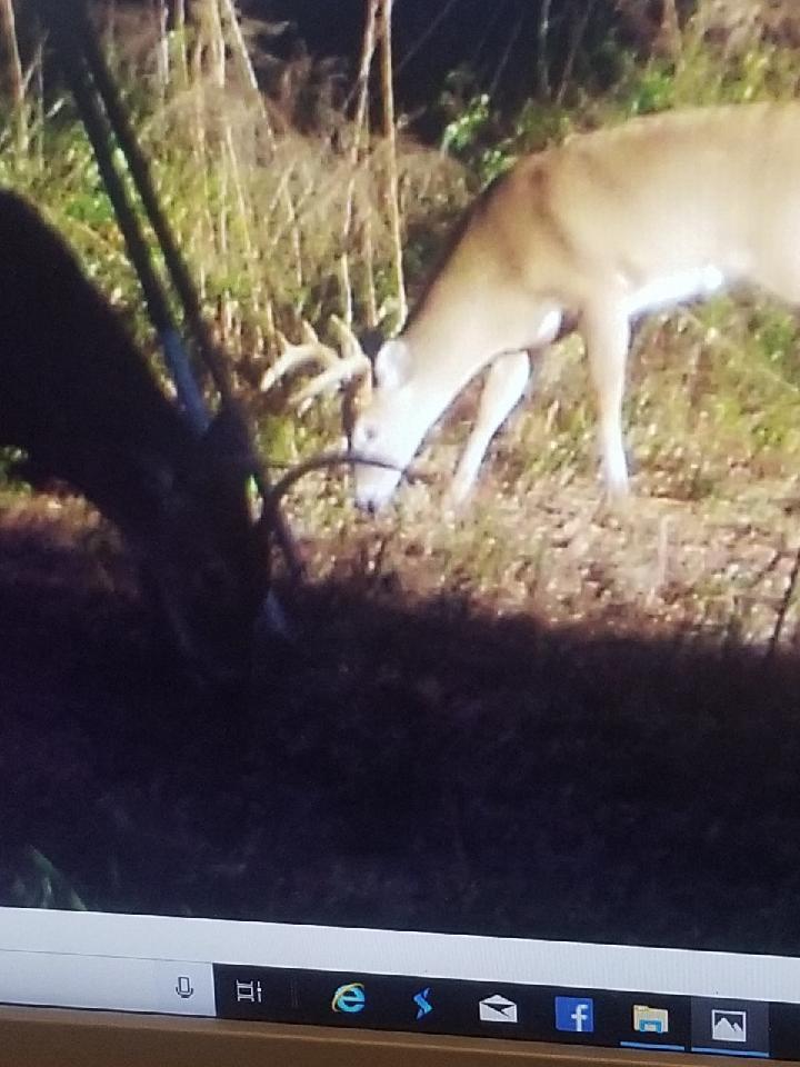 HOLBROOK HILLS - Land