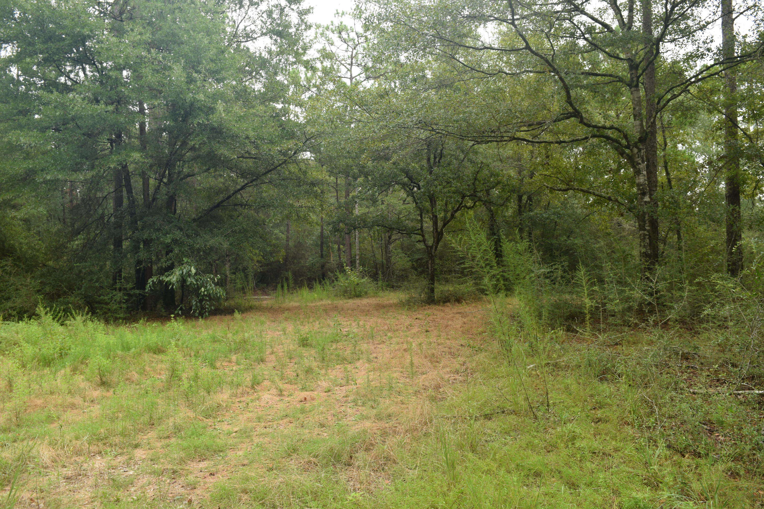 HOLBROOK HILLS - Land