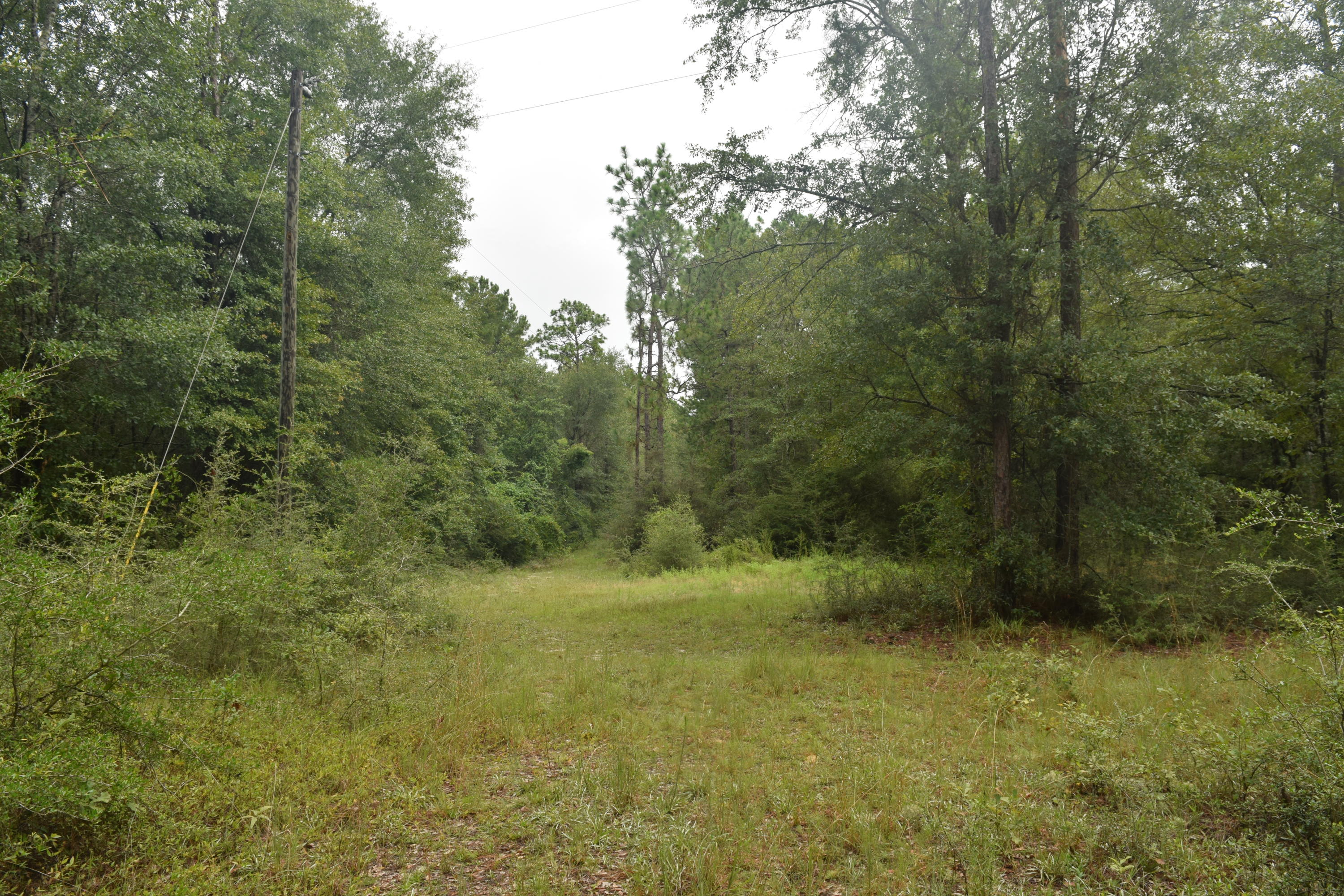 HOLBROOK HILLS - Land