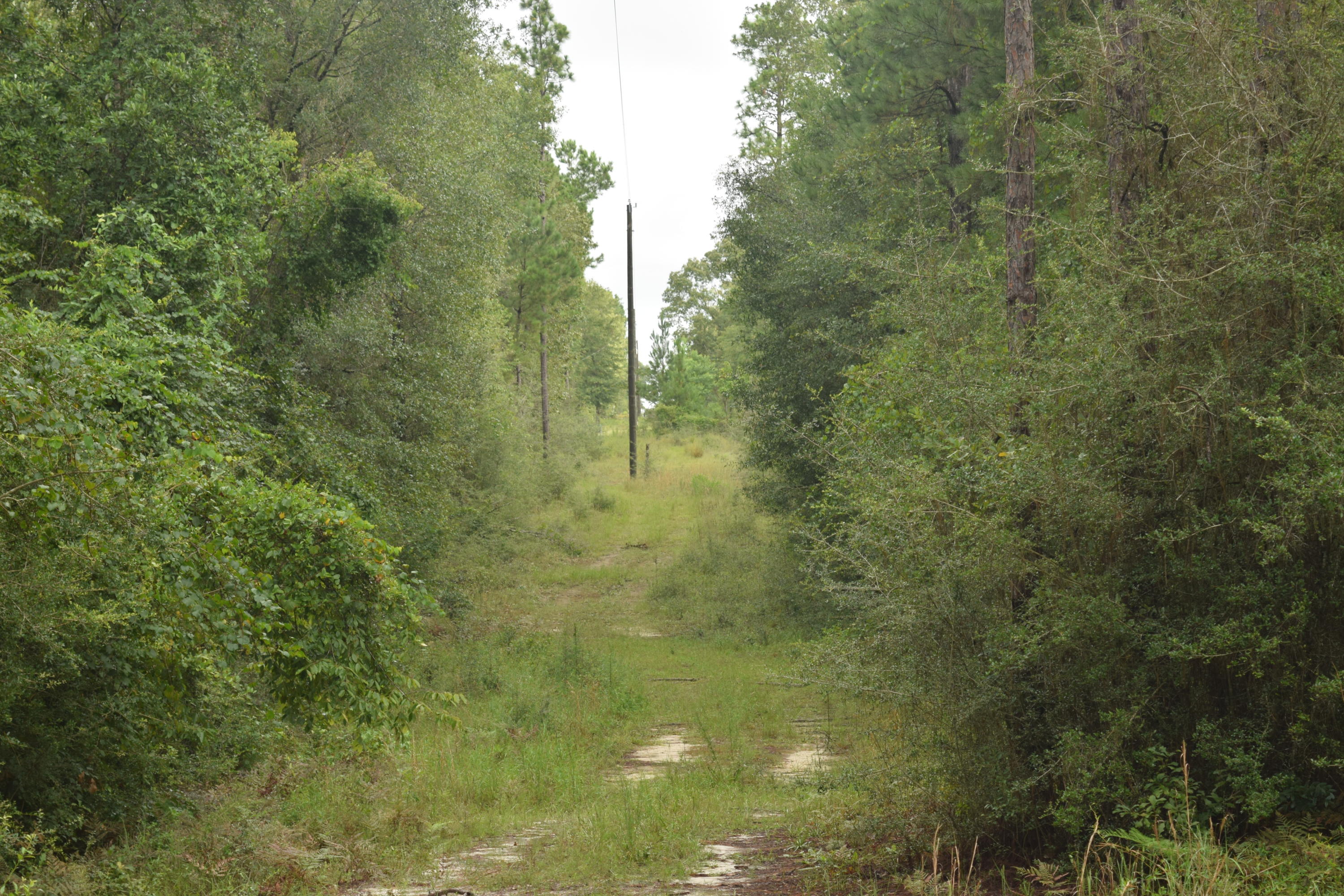 HOLBROOK HILLS - Land