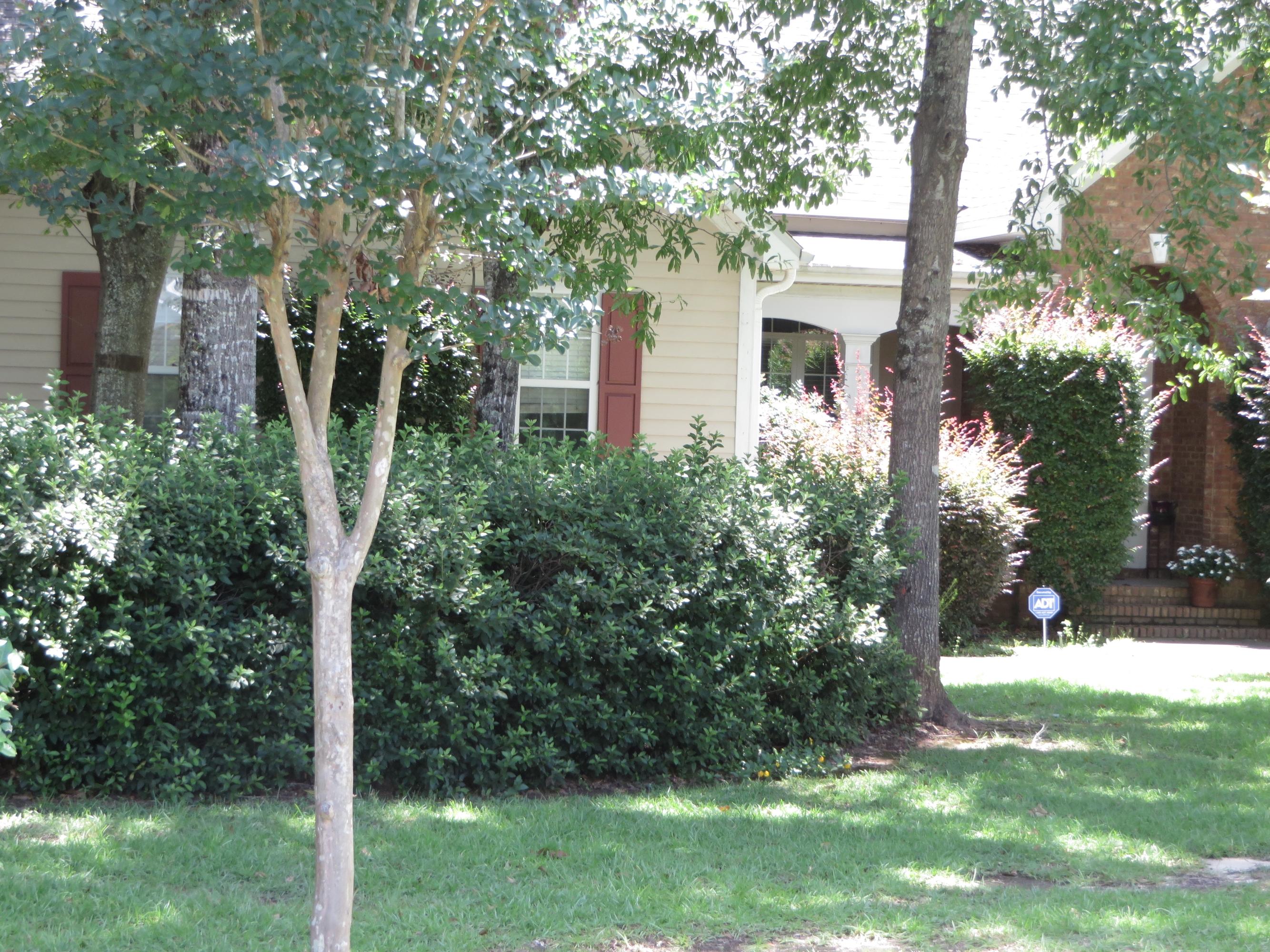 DORCHESTER PLACE - Land