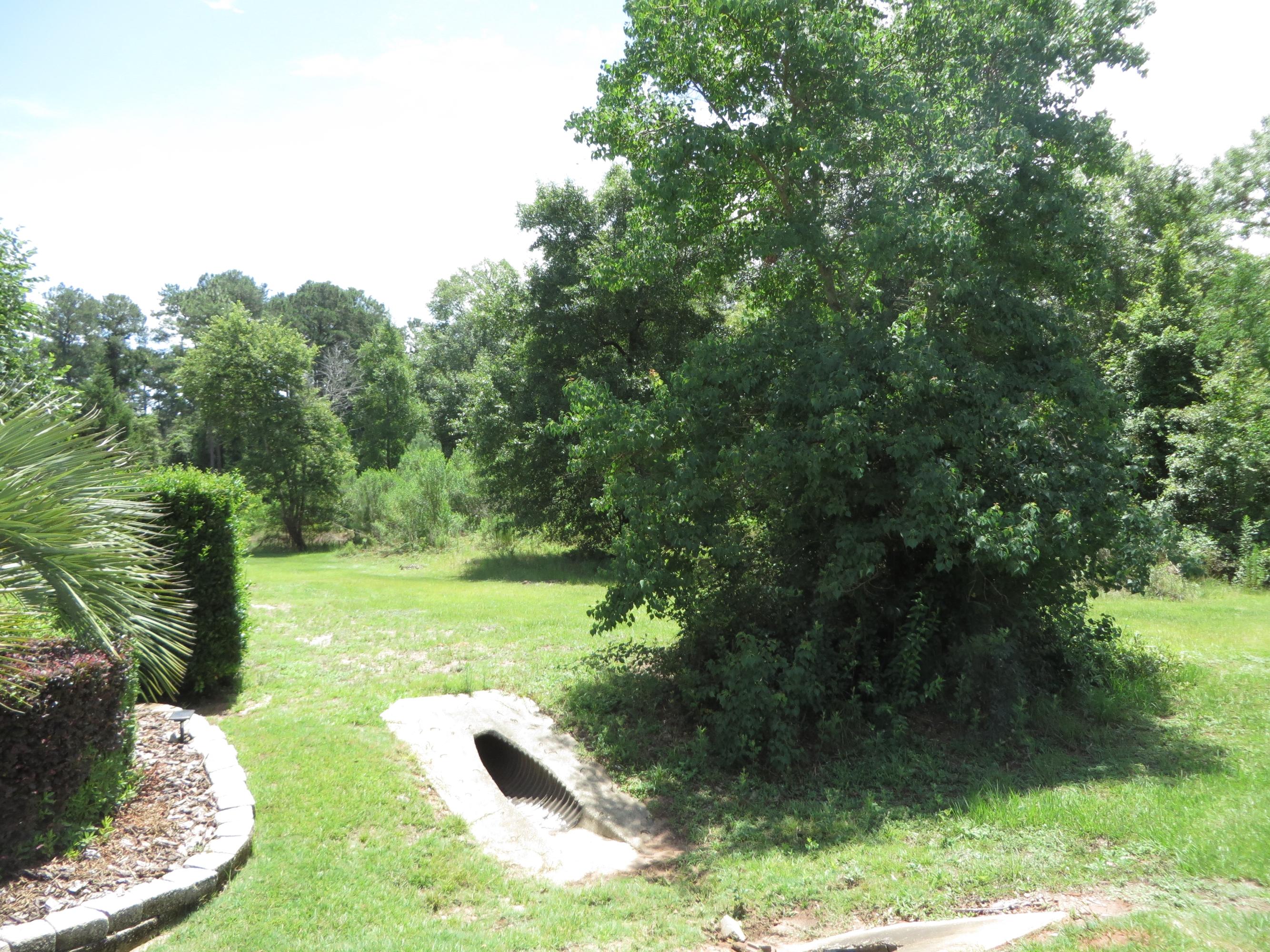 DORCHESTER PLACE - Land