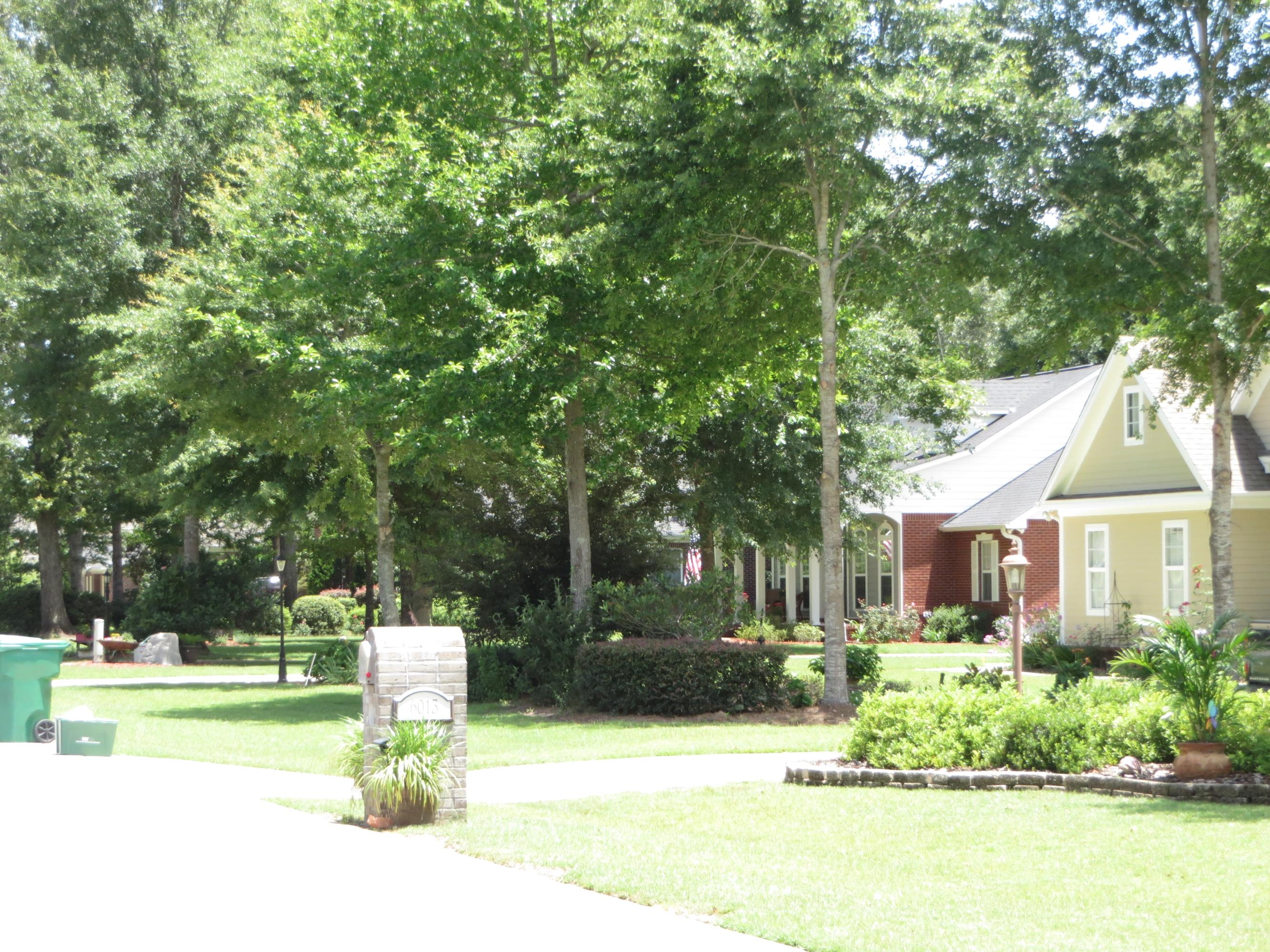 DORCHESTER PLACE - Land