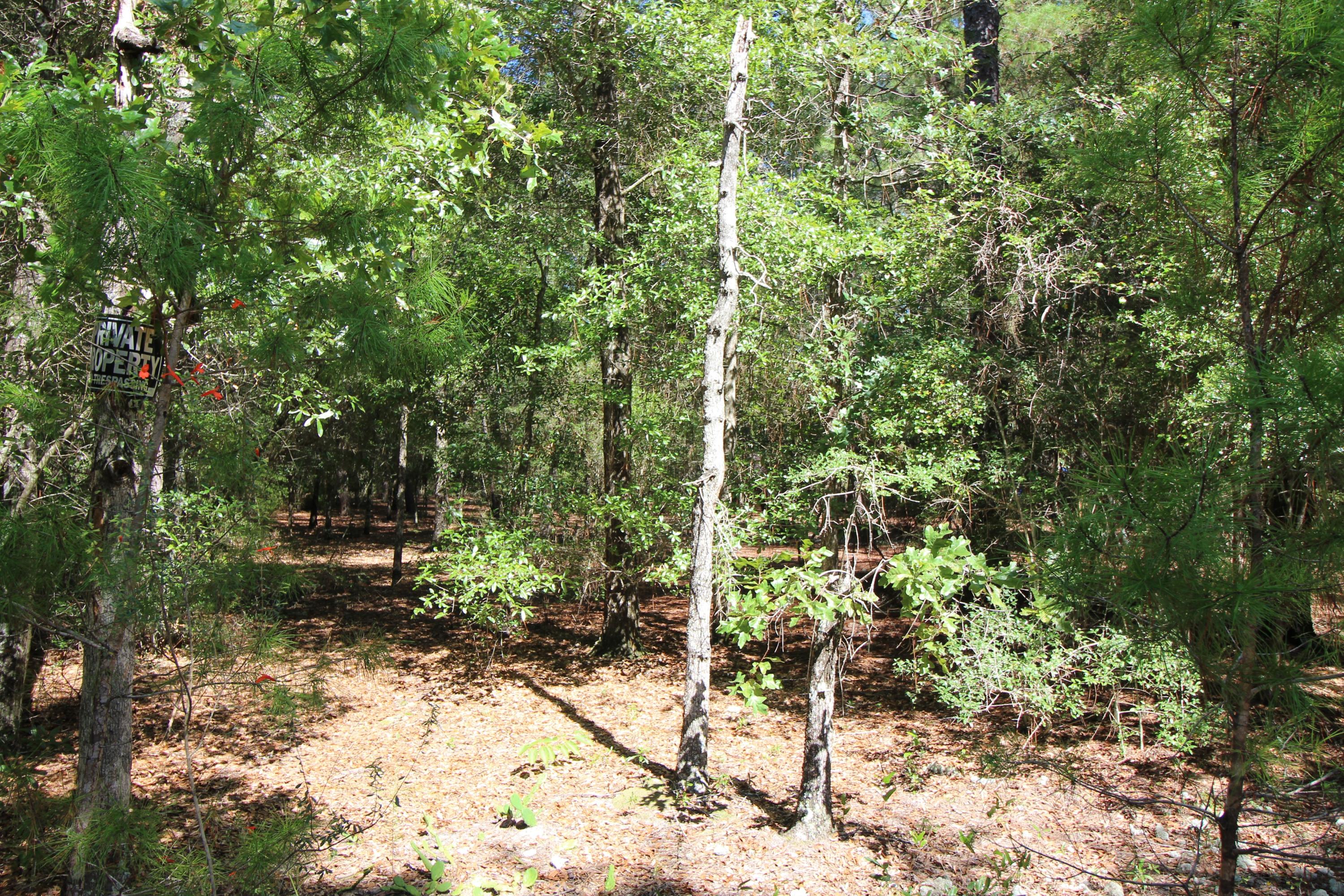 METES & BOUNDS - Land