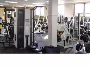 Holley by the Sea - Land