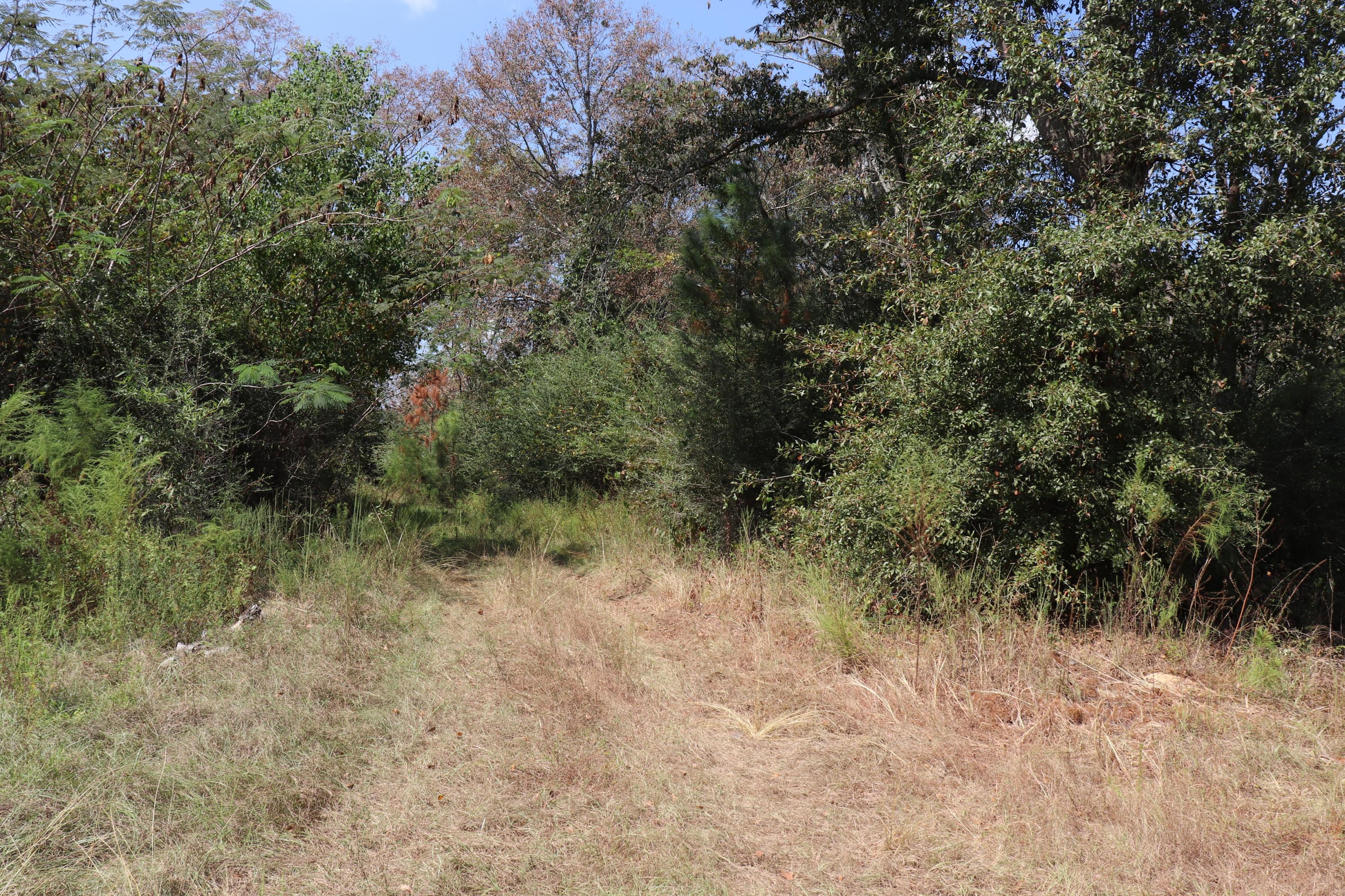 Metes and Bounds - Land