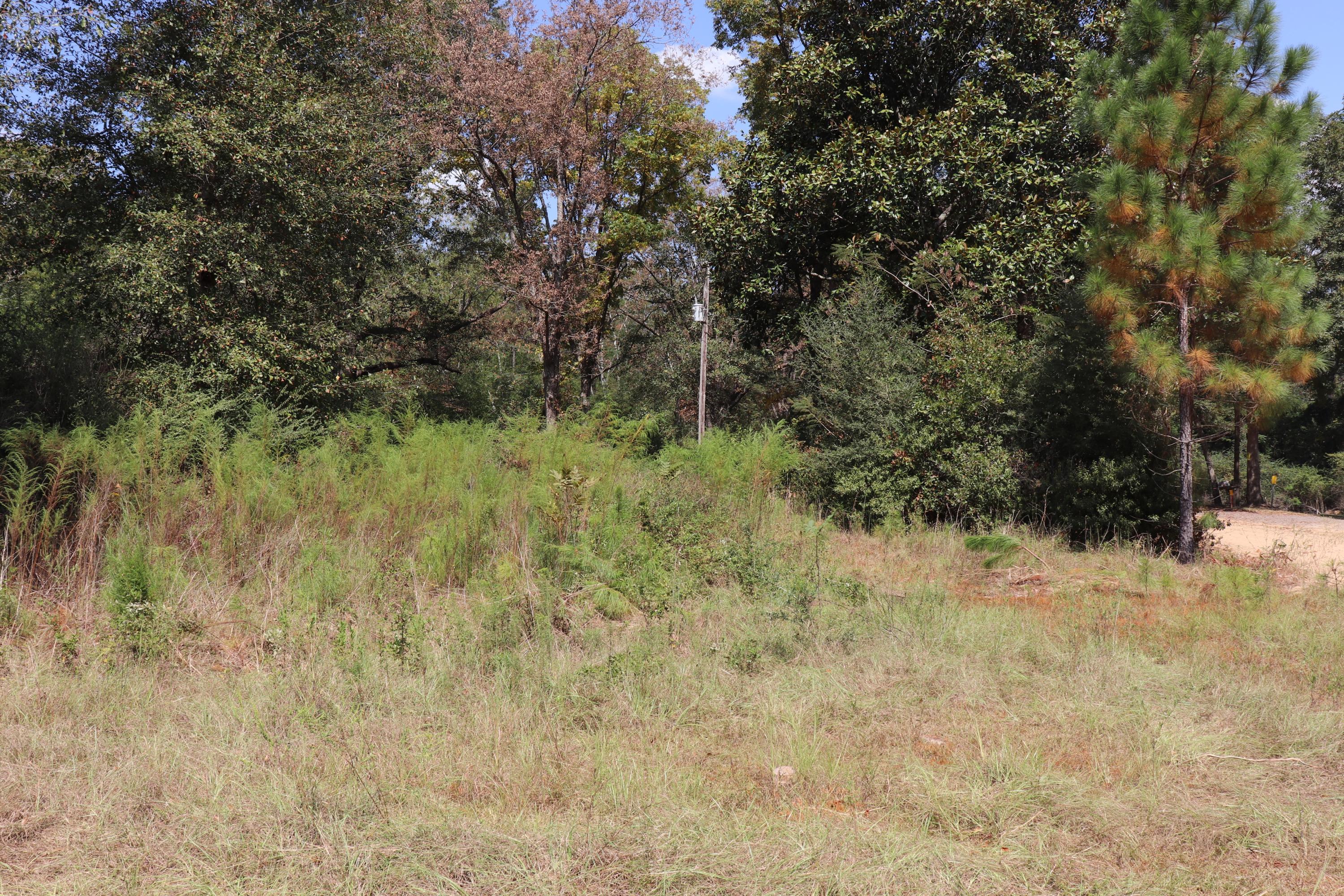 Metes and Bounds - Land