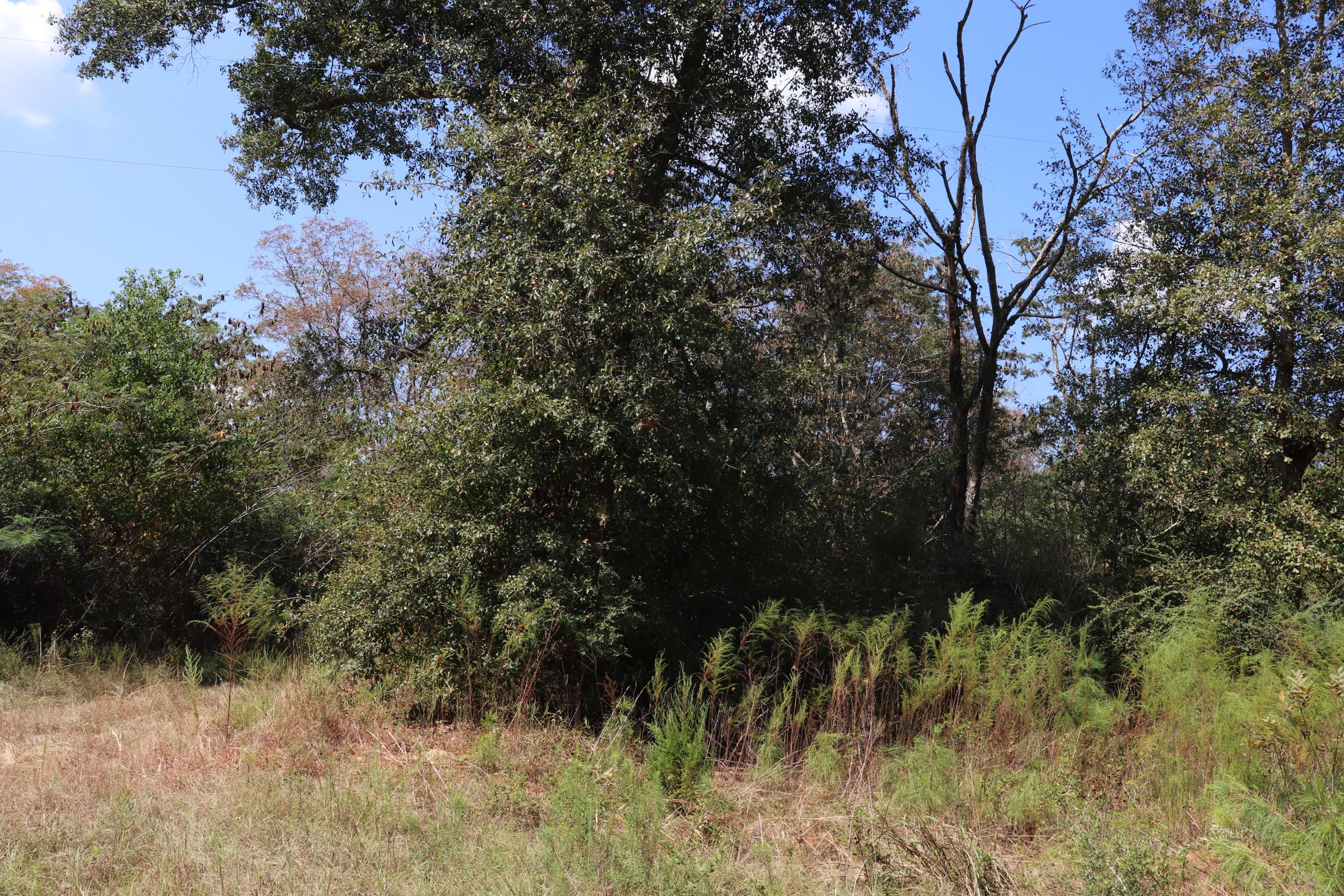 Metes and Bounds - Land