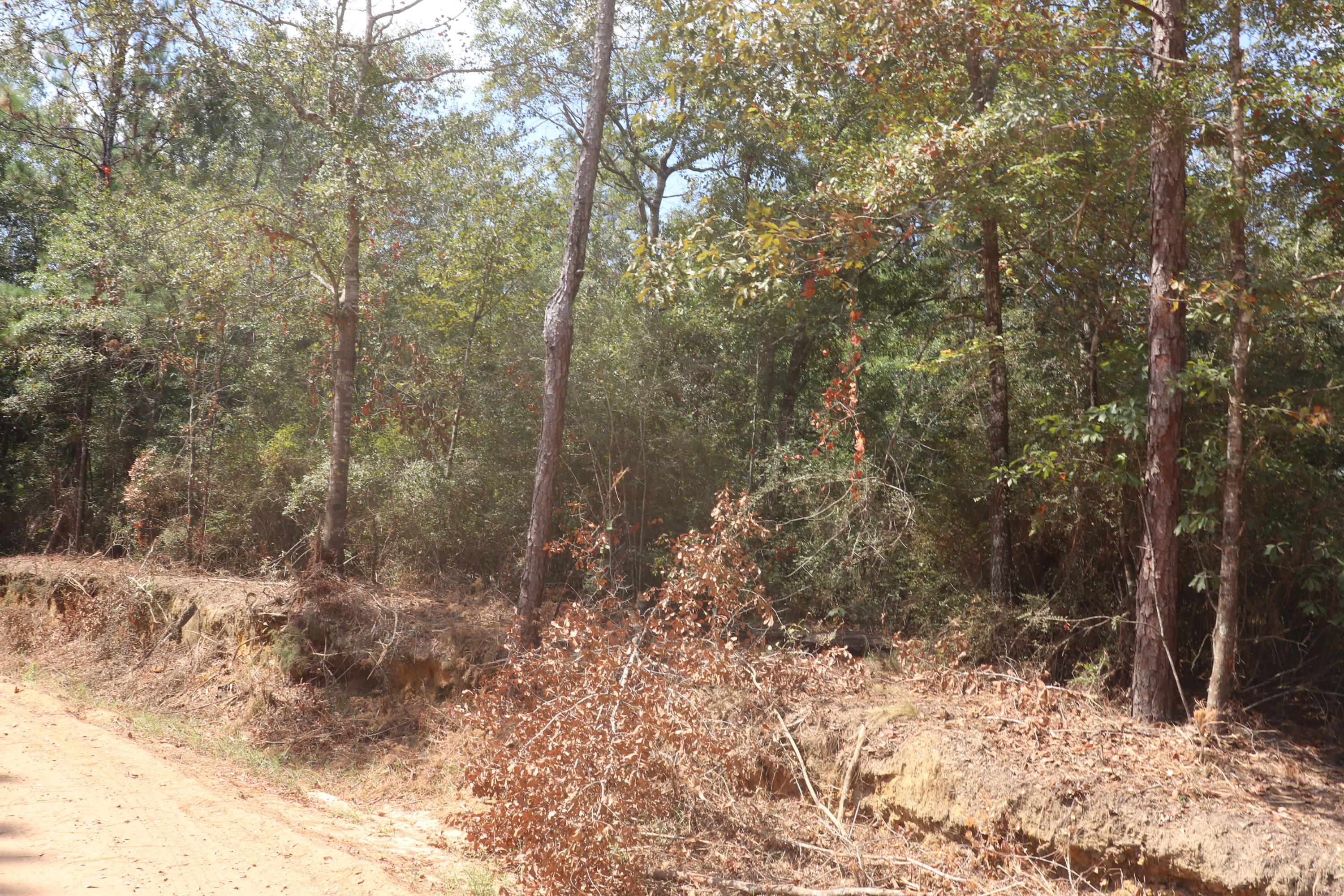 Metes and Bounds - Land