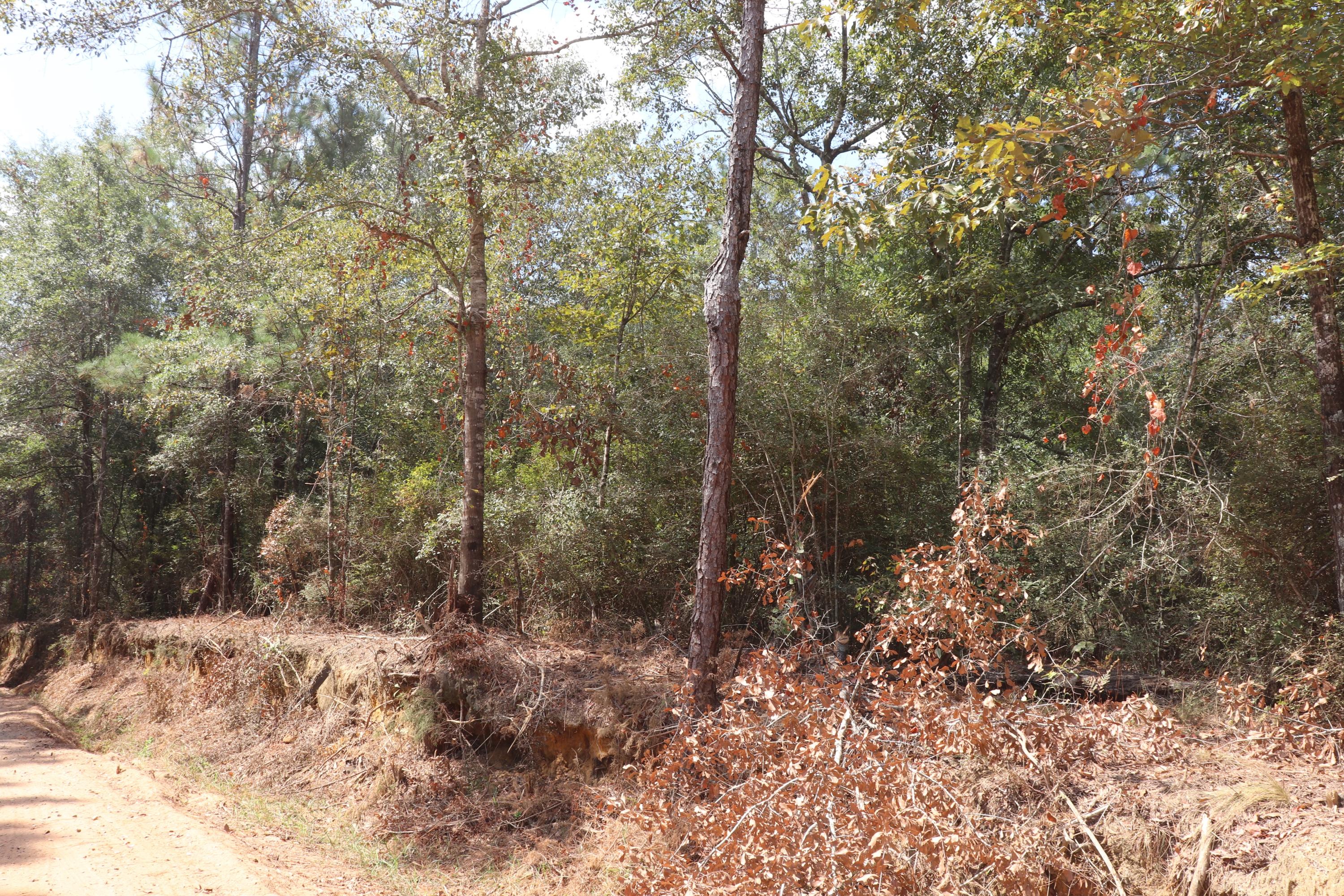 Metes and Bounds - Land