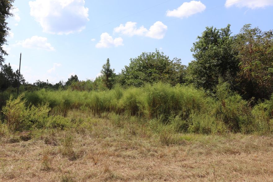 Beautiful, historic property in Shockley Springs! Sellers family has owned the property since 1896, and once was the site of the Shockley Springs Schoolhouse. This makes a great spot for hunting, camping or possible new home site! 2 ponds located on site, and owners say that bamboo is planted throughout property.