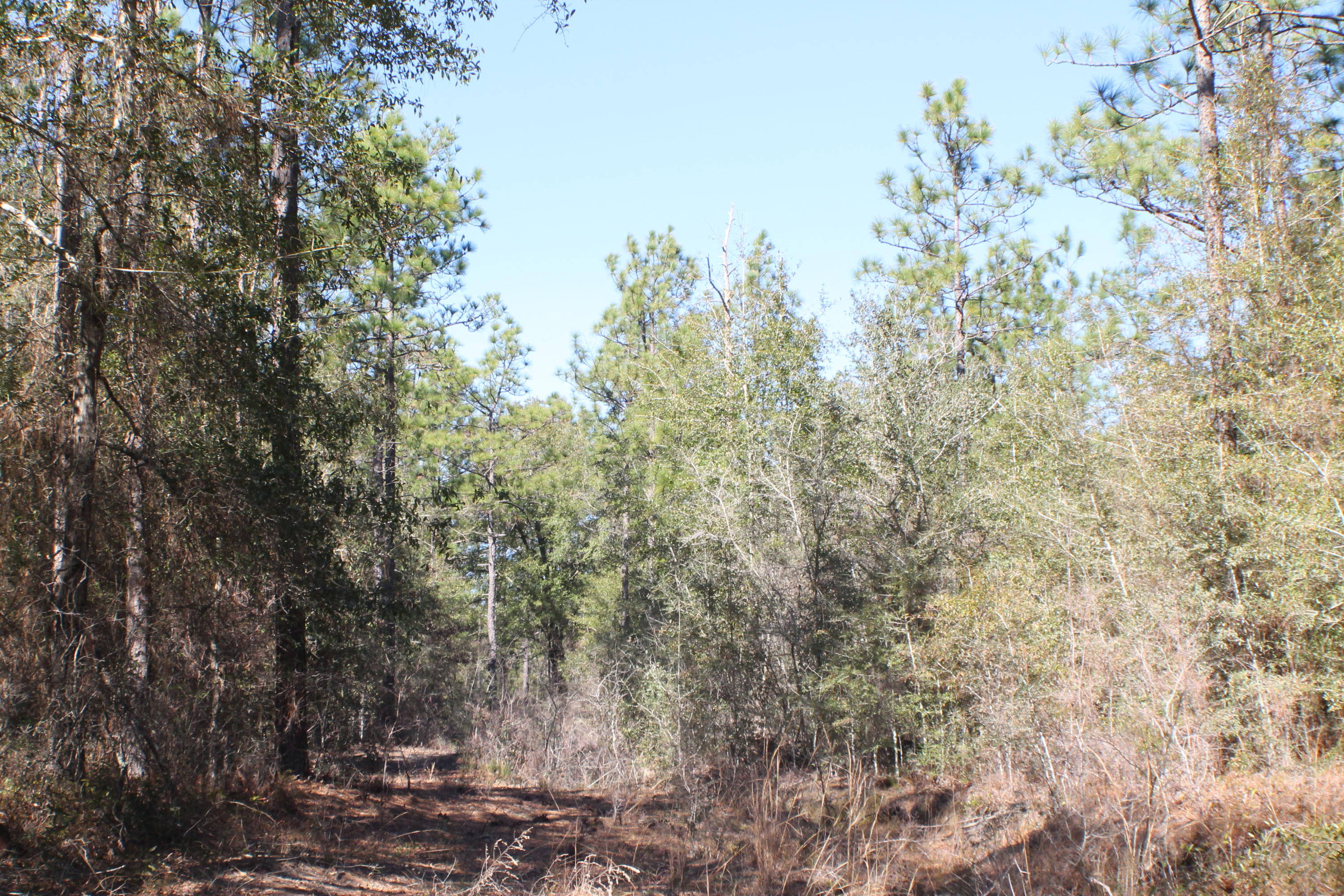 METES & BOUNDS - Farm